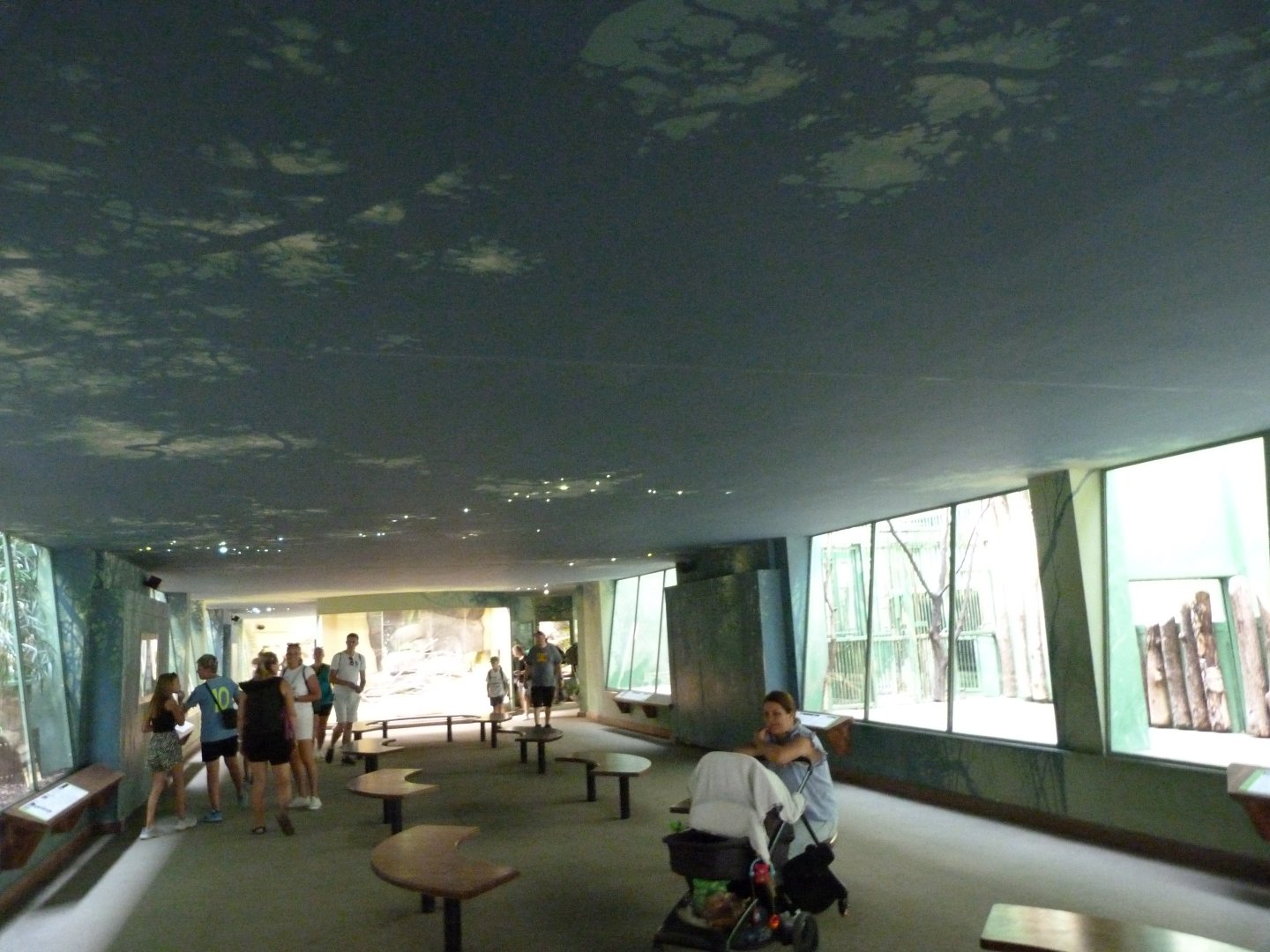 Felid and reptile house -Zoo Praha (2025)