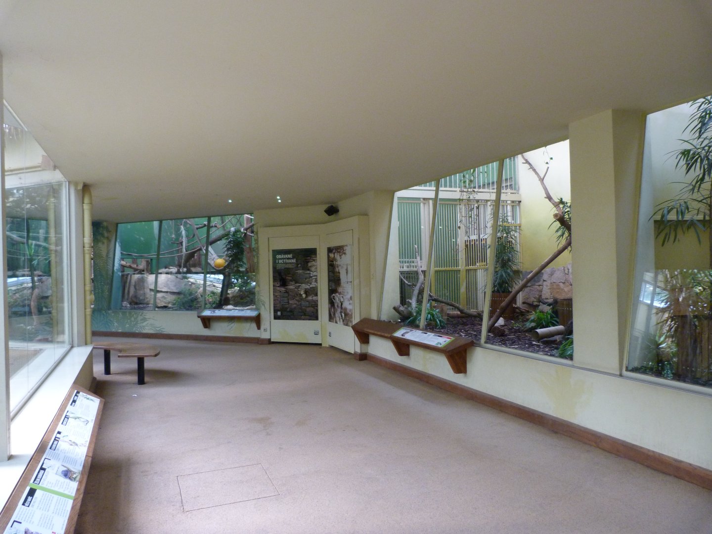 Felid and reptile house -Zoo Praha (2025)