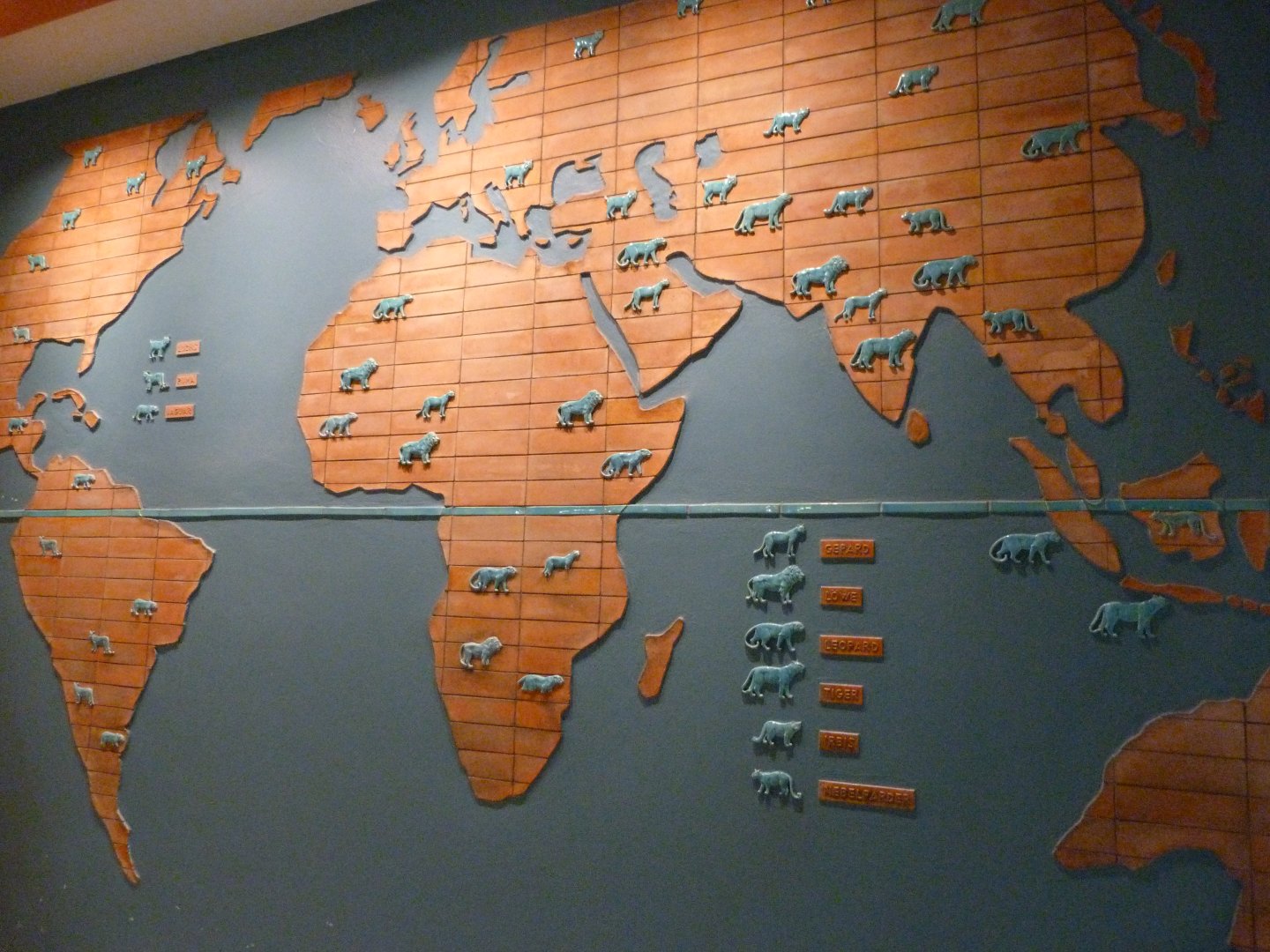 Felid distribution map -Tierpark Berlin (2024)
