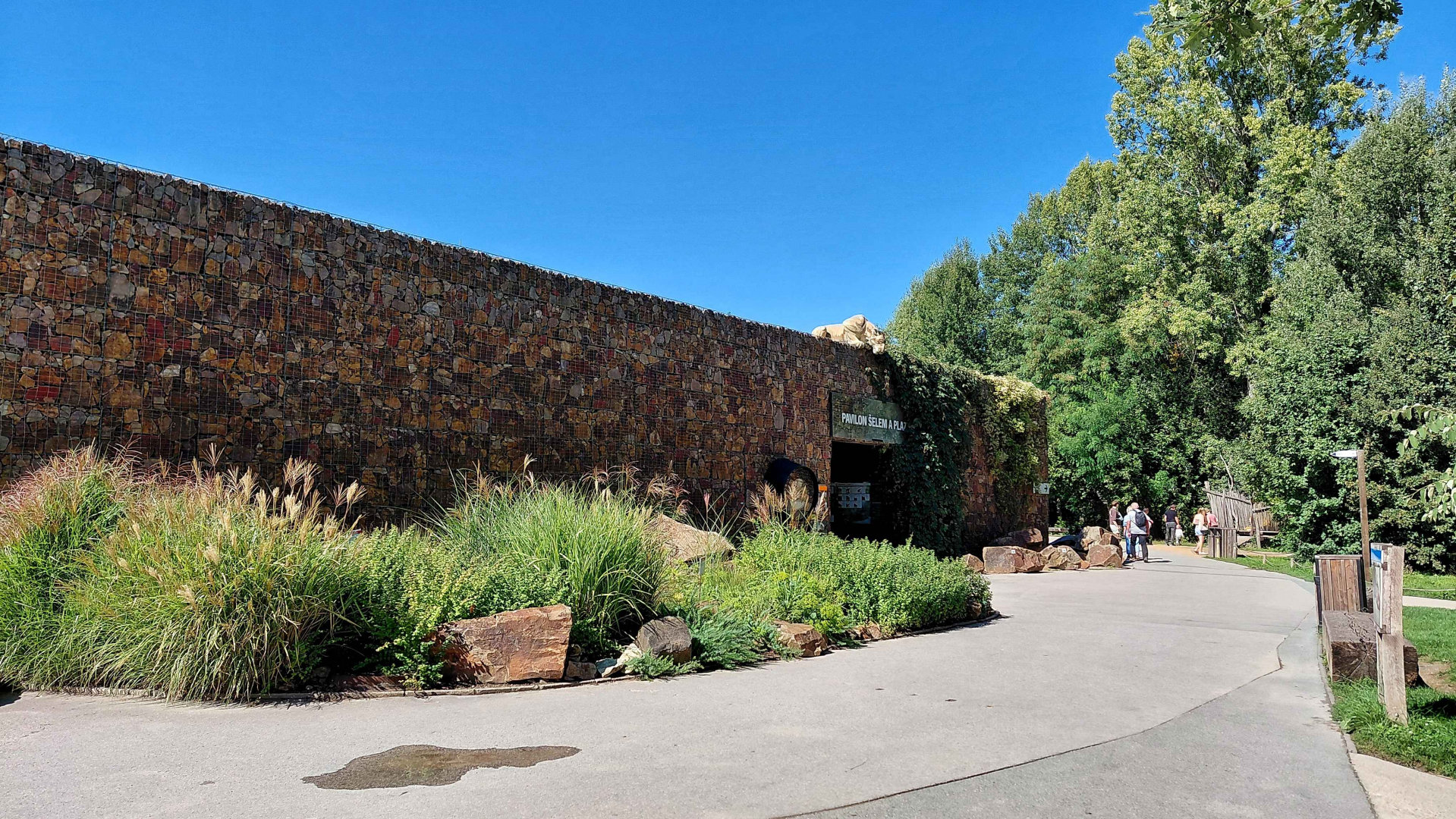 Feline and reptile house