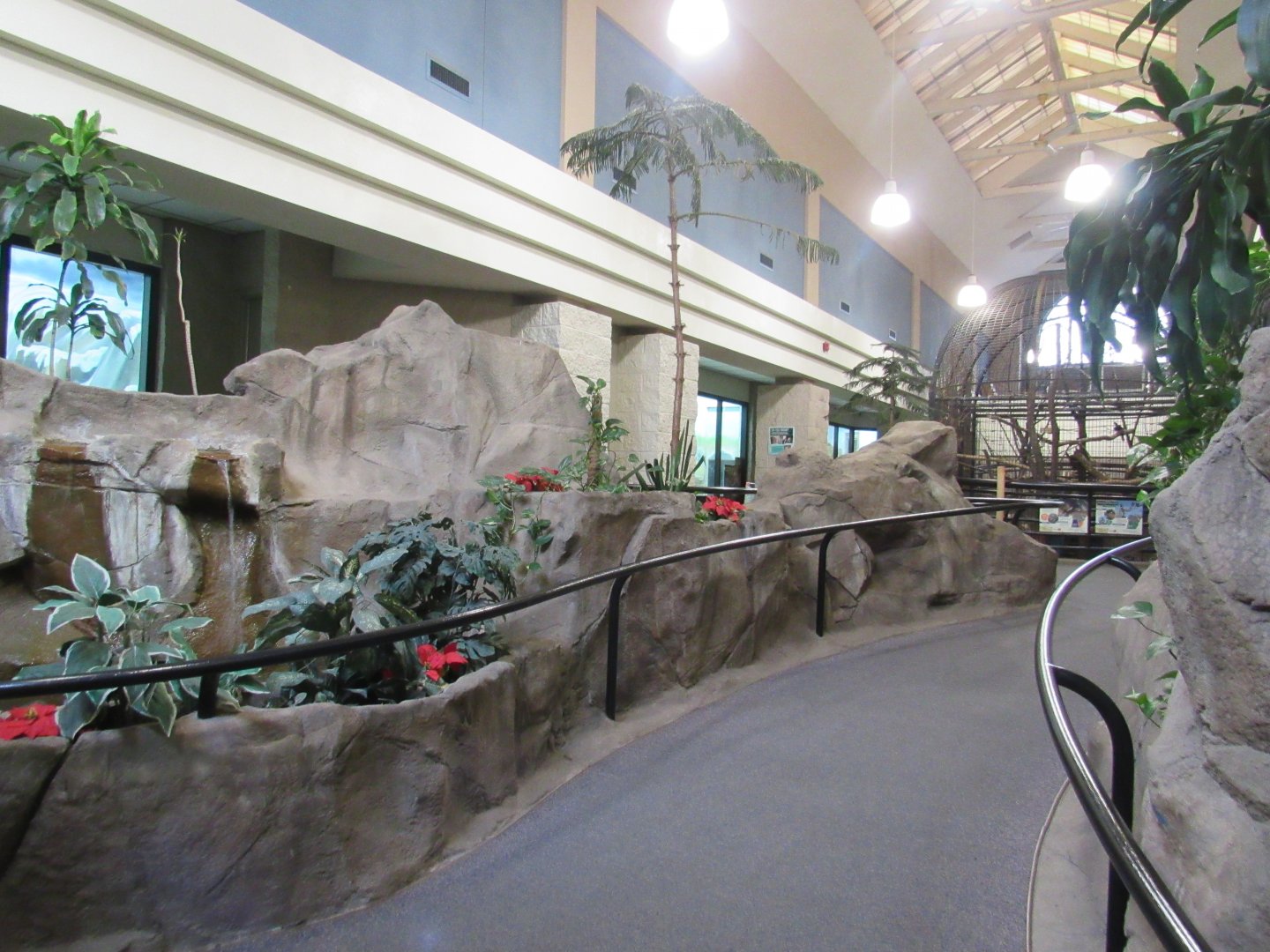 Feline & Primate Building Interior