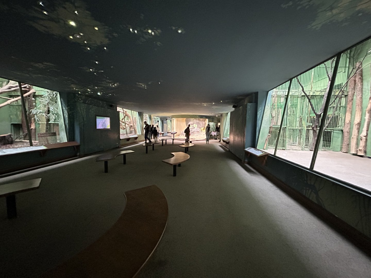 Feline\Reptile House