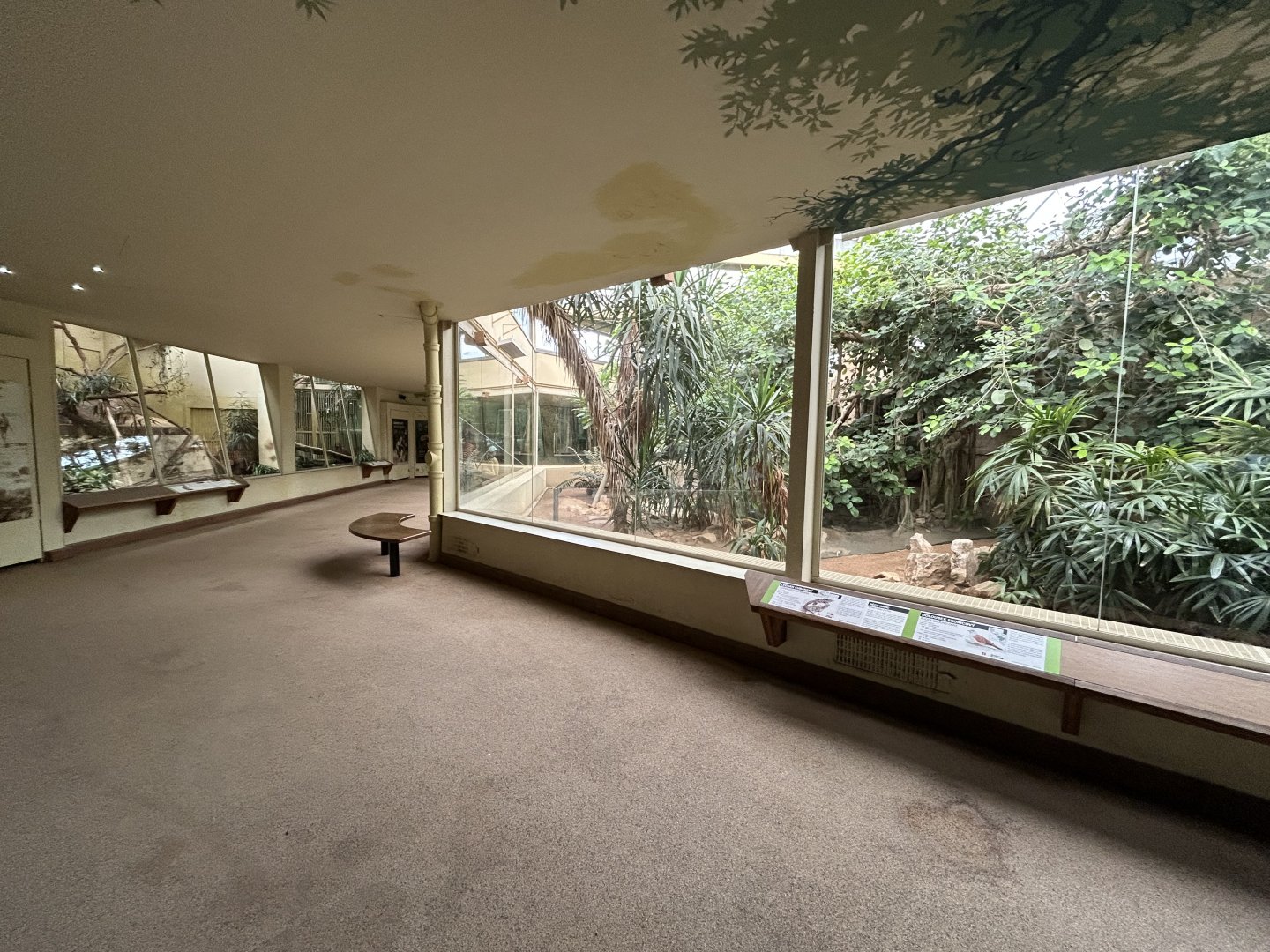 Feline\Reptile House