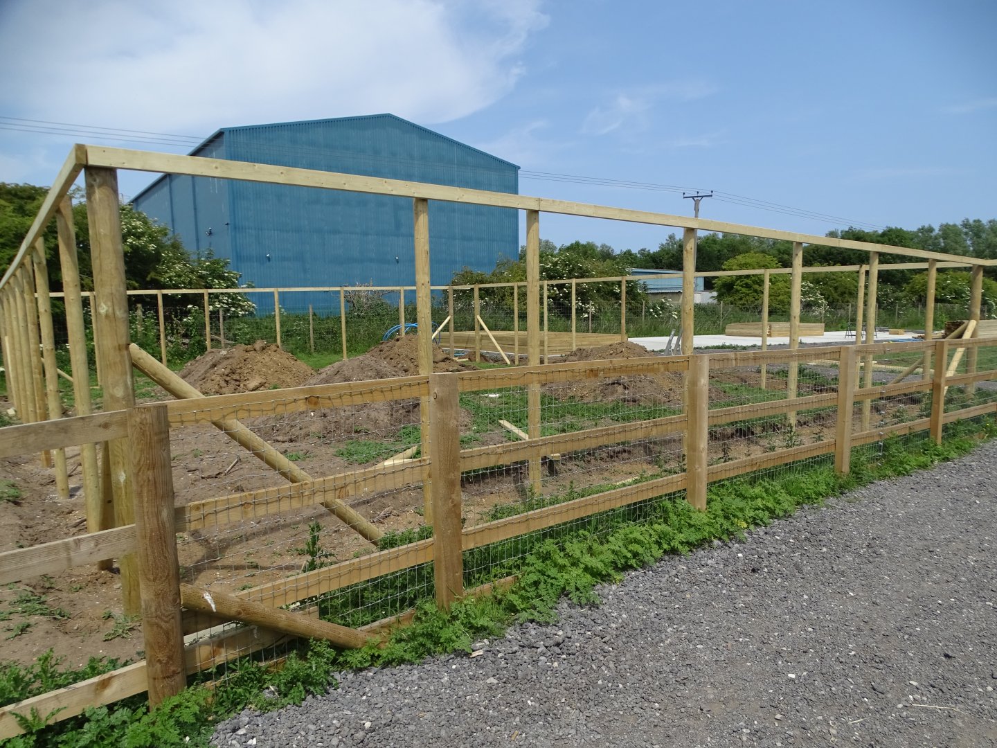 Felines exhibit under construction, 11th June 2025