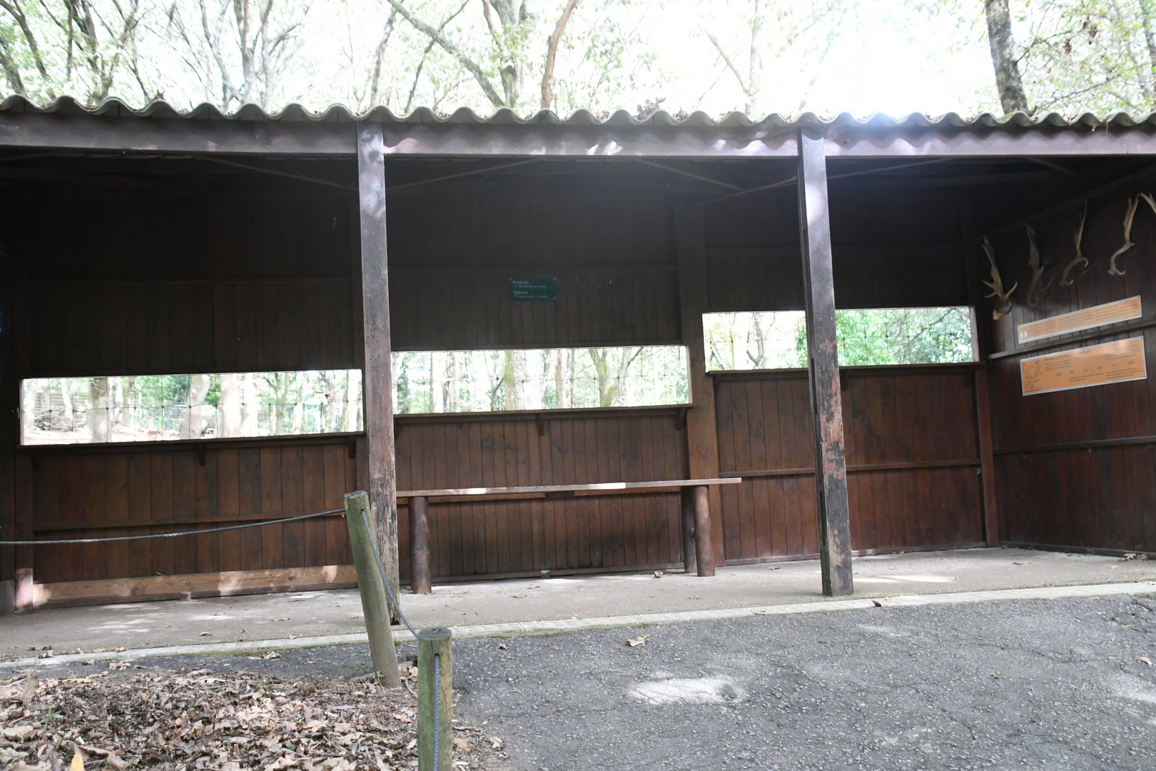 Fellow Deer viewing shelter