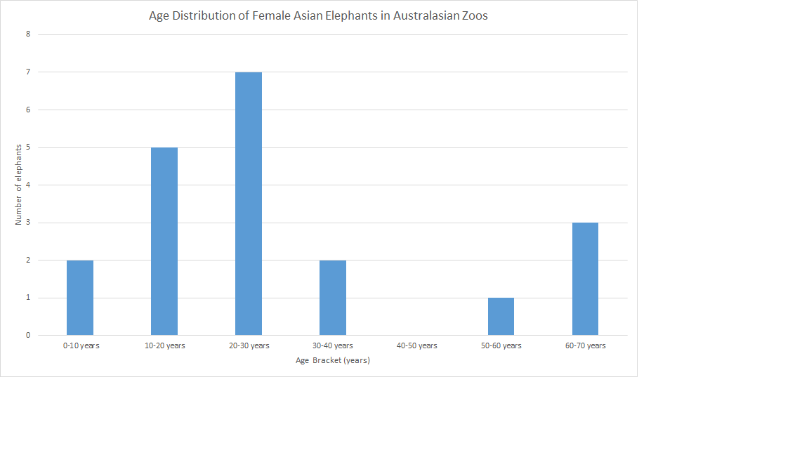 Female Asian Elephants in Australasian Zoos