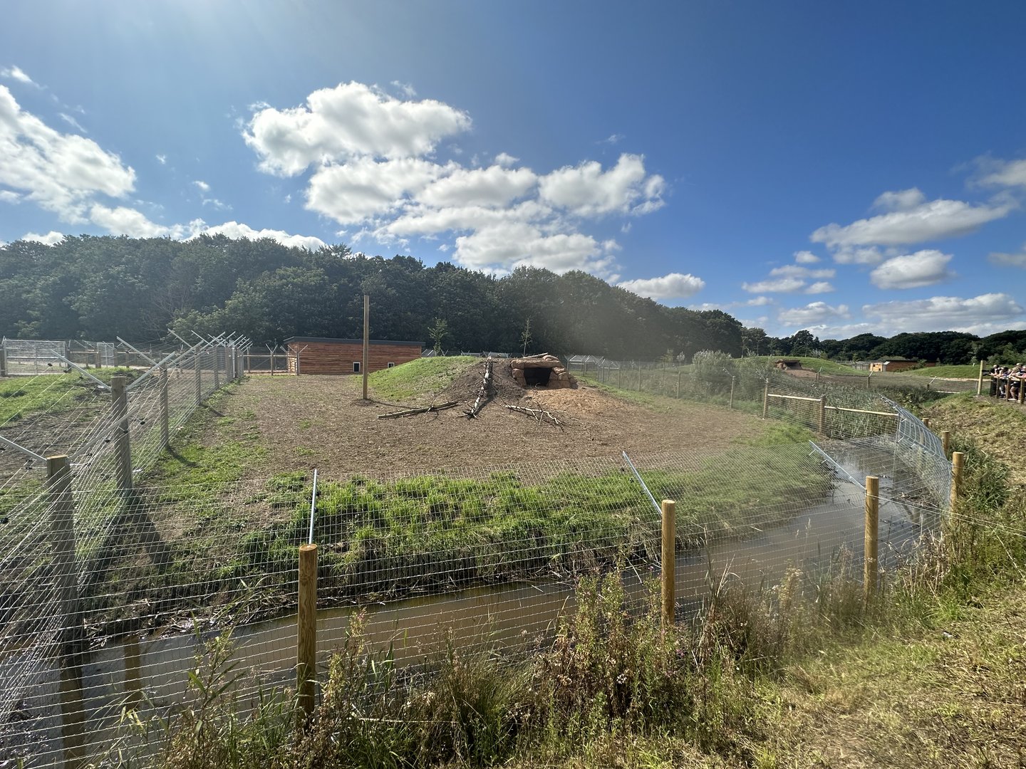 Female Cheetah Enclosure 1