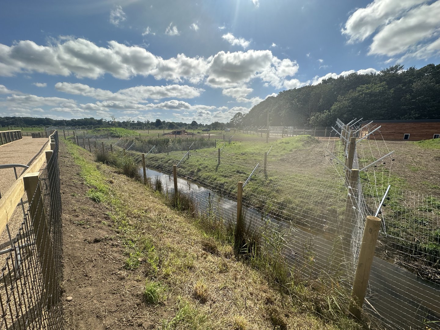 Female Cheetah Enclosure 2
