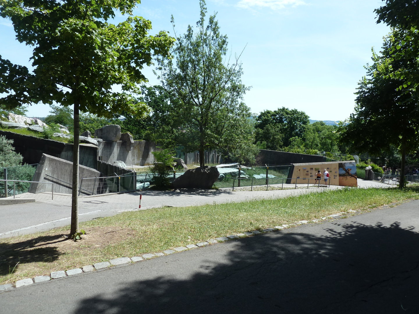 Female cheetah enclosure