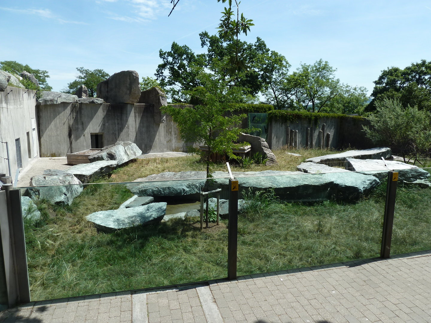 Female cheetah enclosure