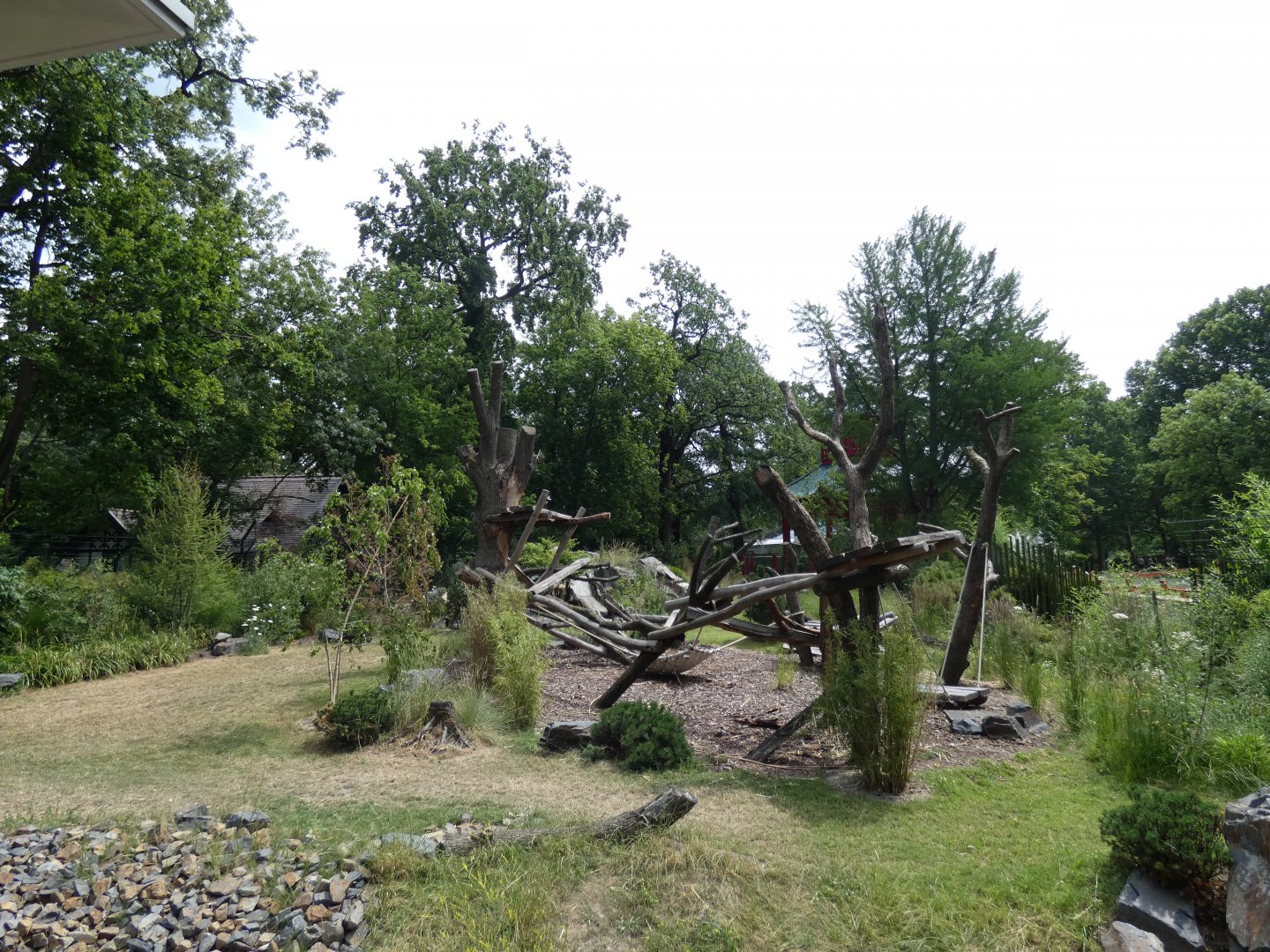 Female Giant Panda Outdoors