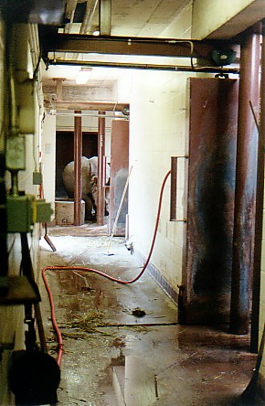 Female Indian rhino  (off exhibit) @ Toronto zoo Canada