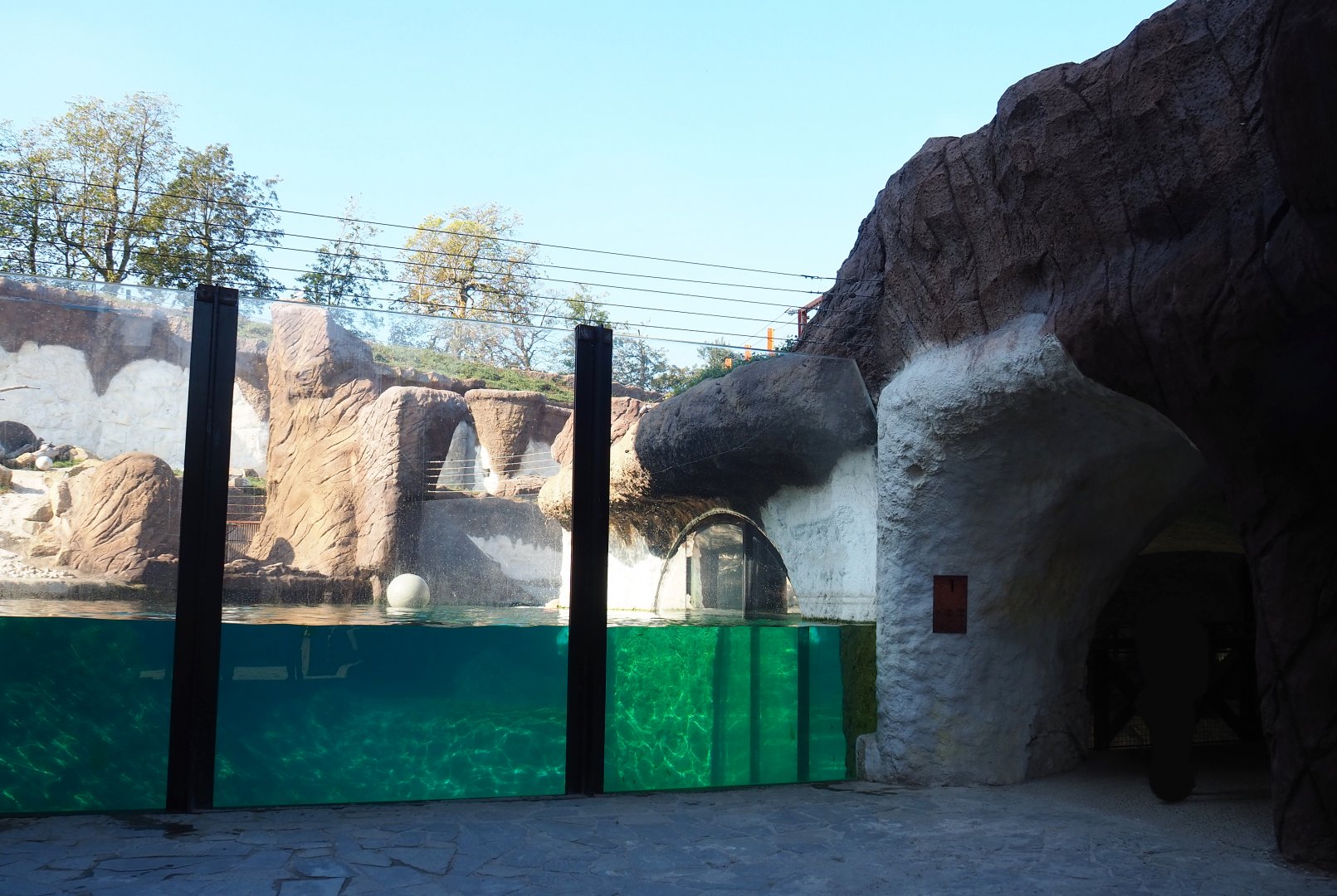 Female Polar bear exhibit viewing area, 2020-09-02