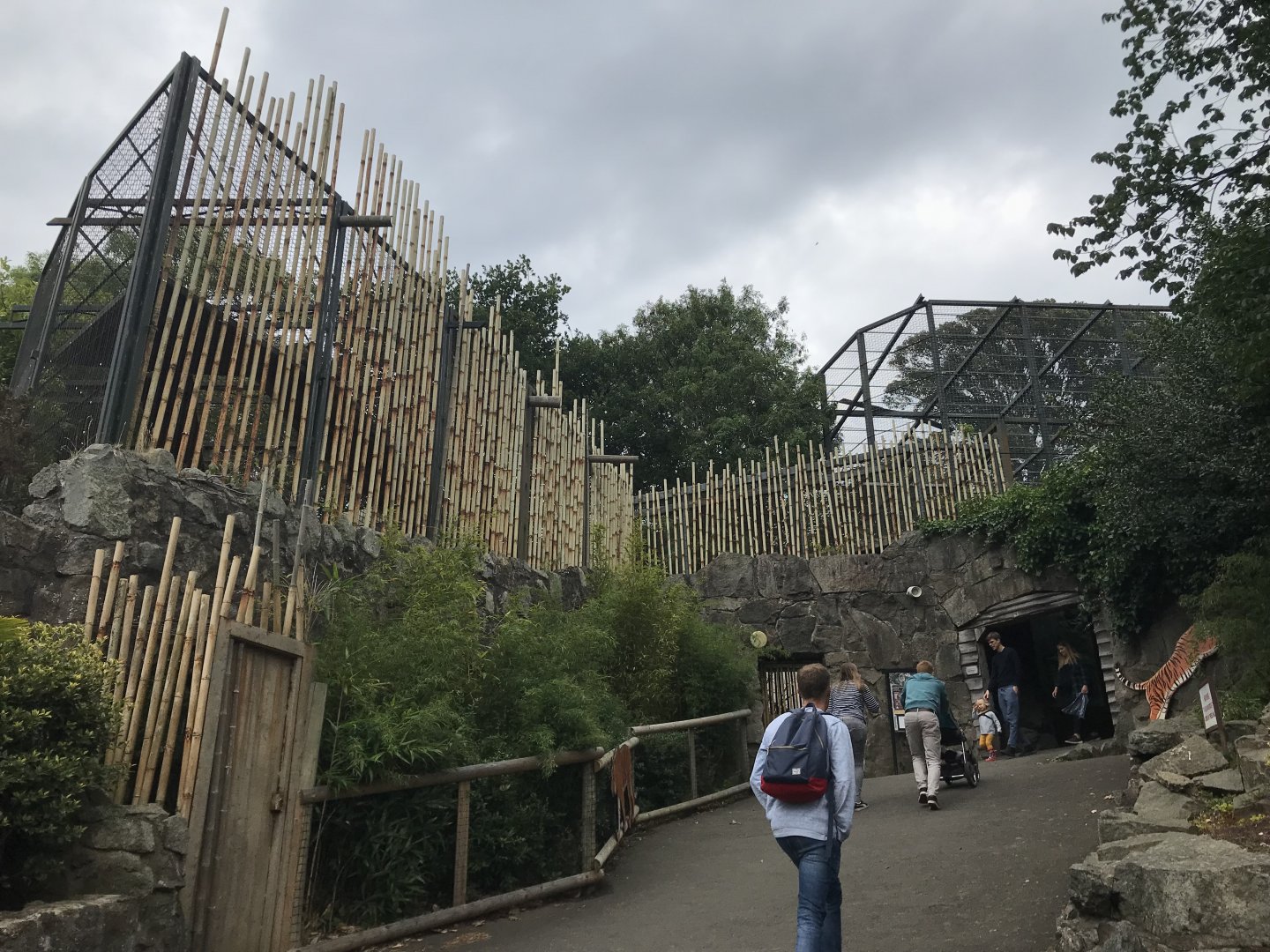 Female Sumatran tiger enclosure