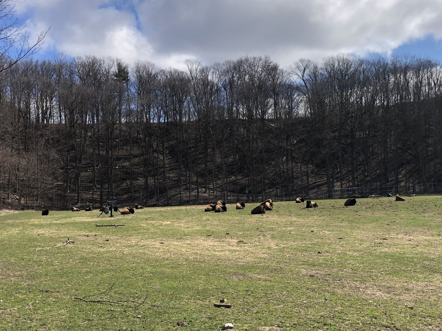 Females in the bachelorette field