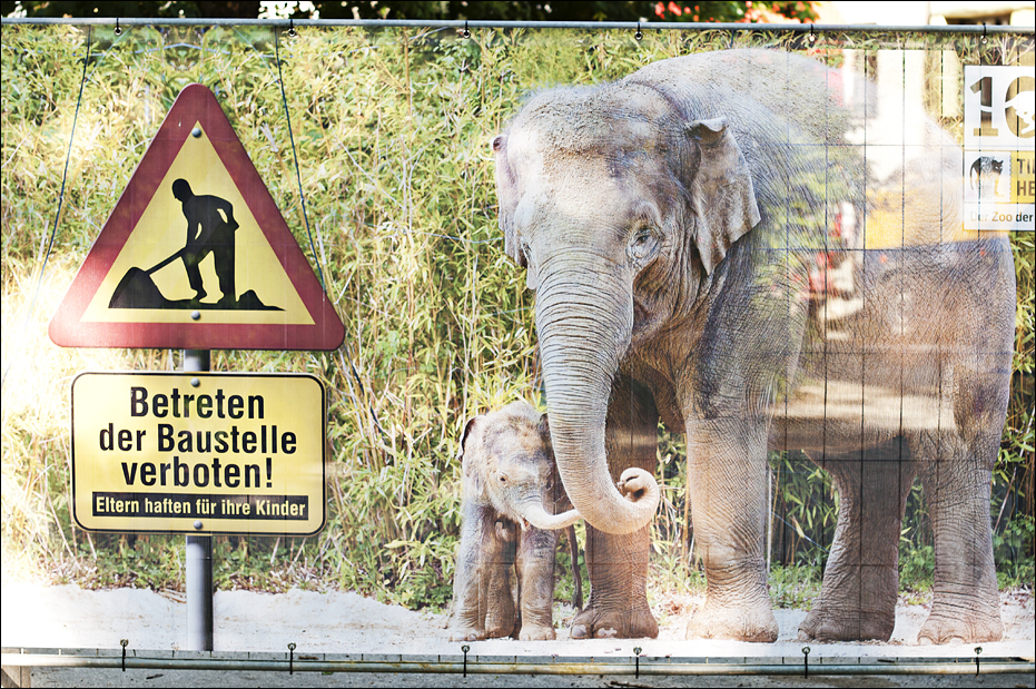 Fence around the elephant house at Hellabrunn, München
