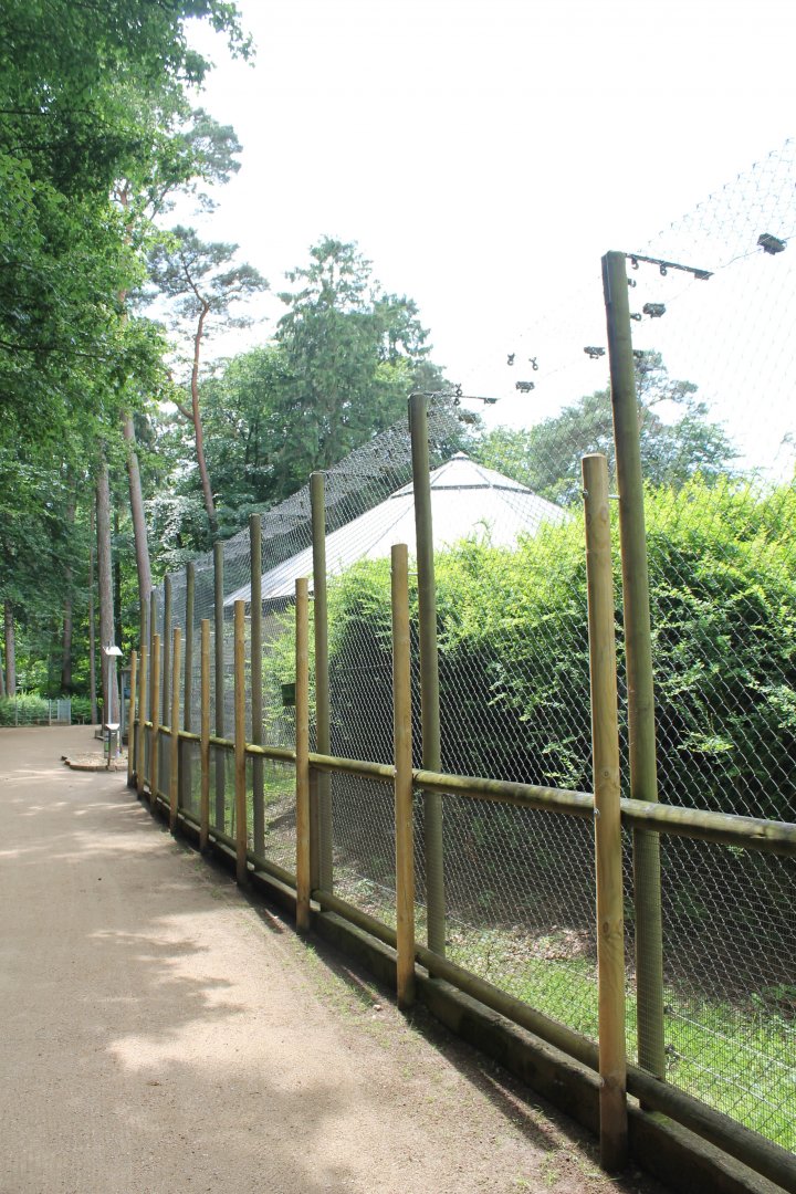 Fence Barbary macaque-enclosure