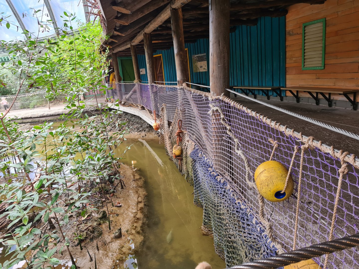 Fence decoration in the Mangrove dome