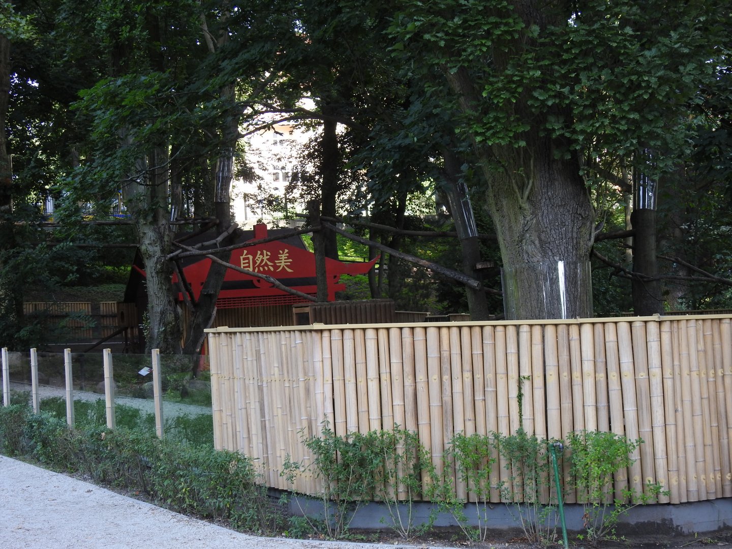 fence of panda and muntjacs enclourse