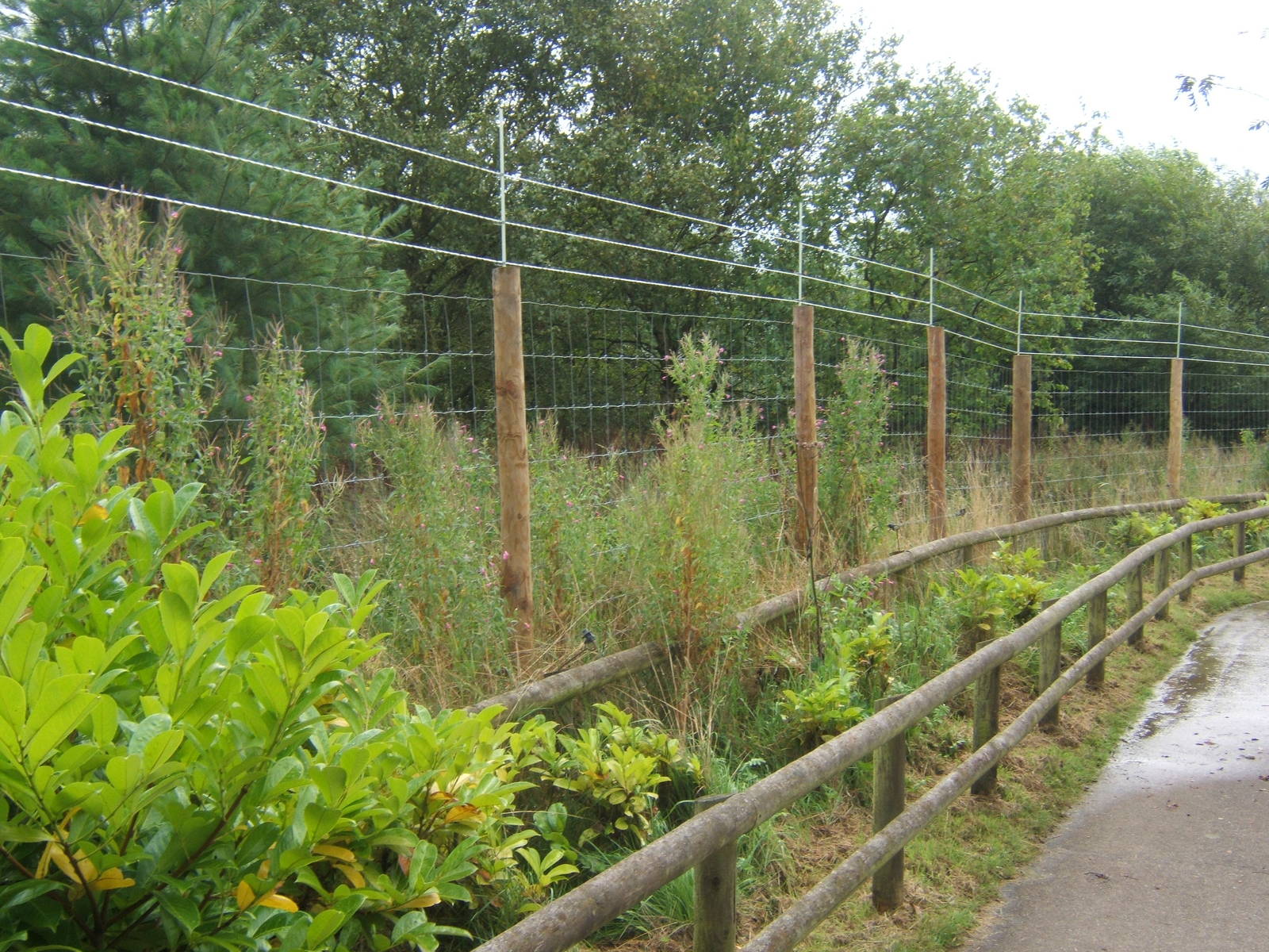 Fence to keep the Vietnamese Sika in