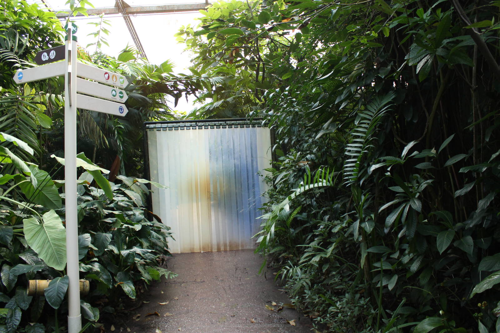 Fenced-off area in Burgers Bush