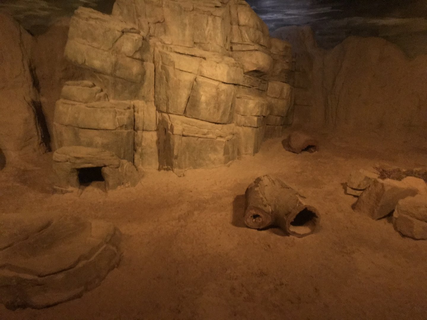 Fennec exhibit 290118