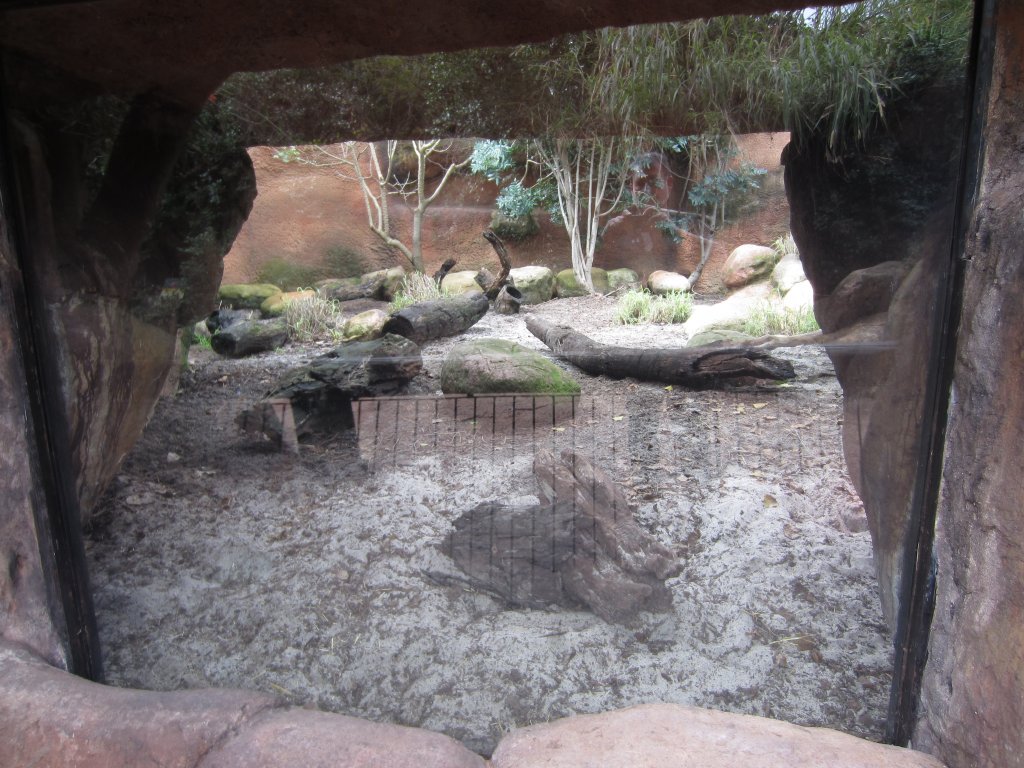 Fennec Exhibit