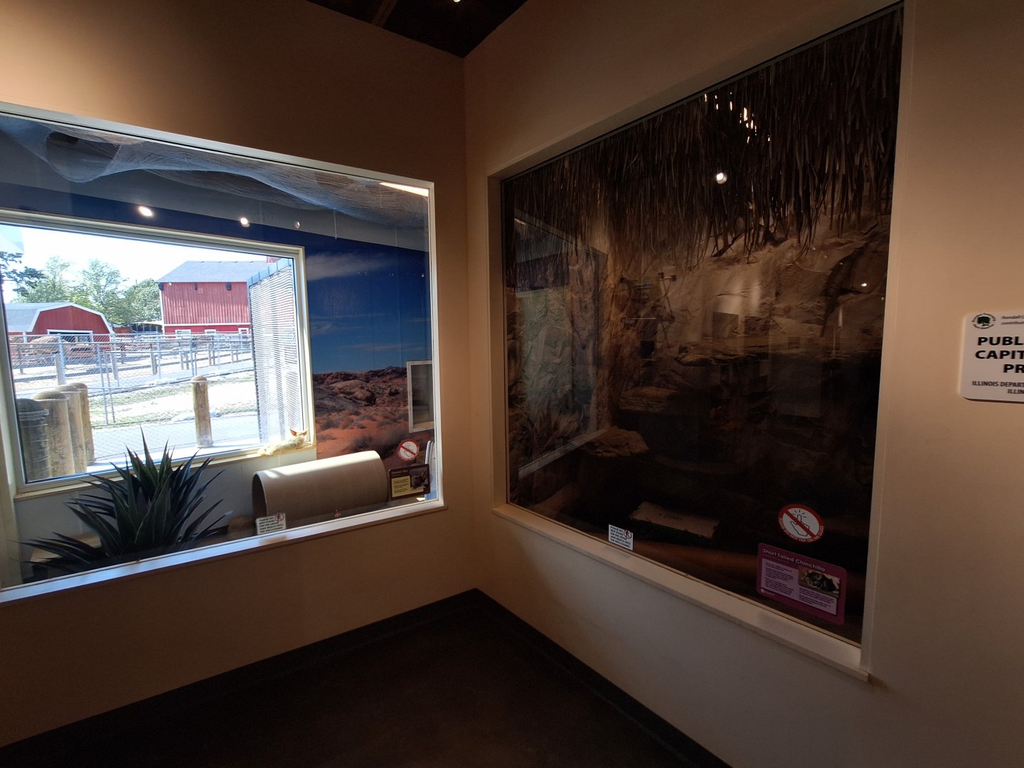 Fennec Fox and Chinchilla enclosures