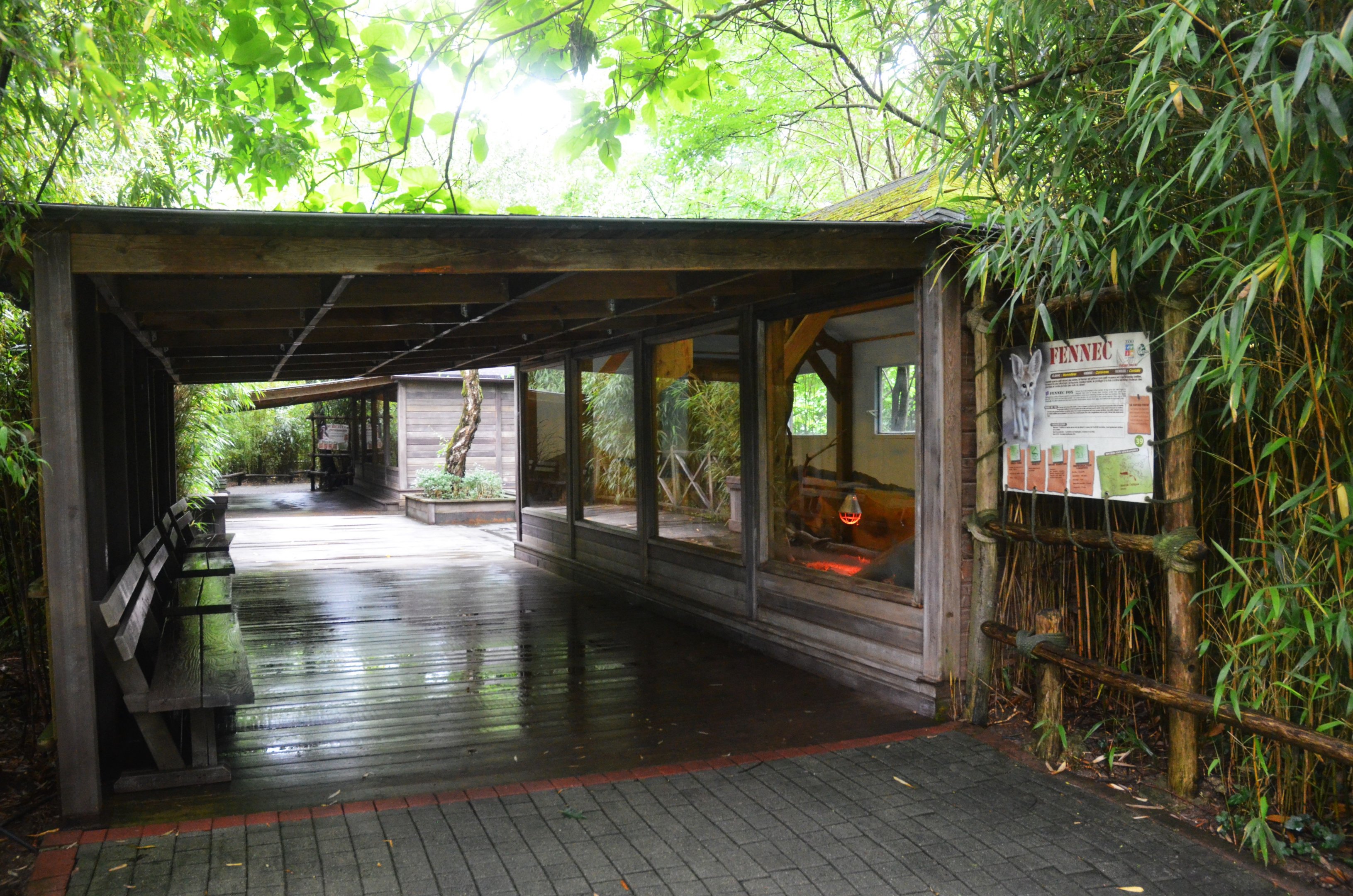 Fennec Fox and Meerkat Enclosures at La Flèche, 11/06/18