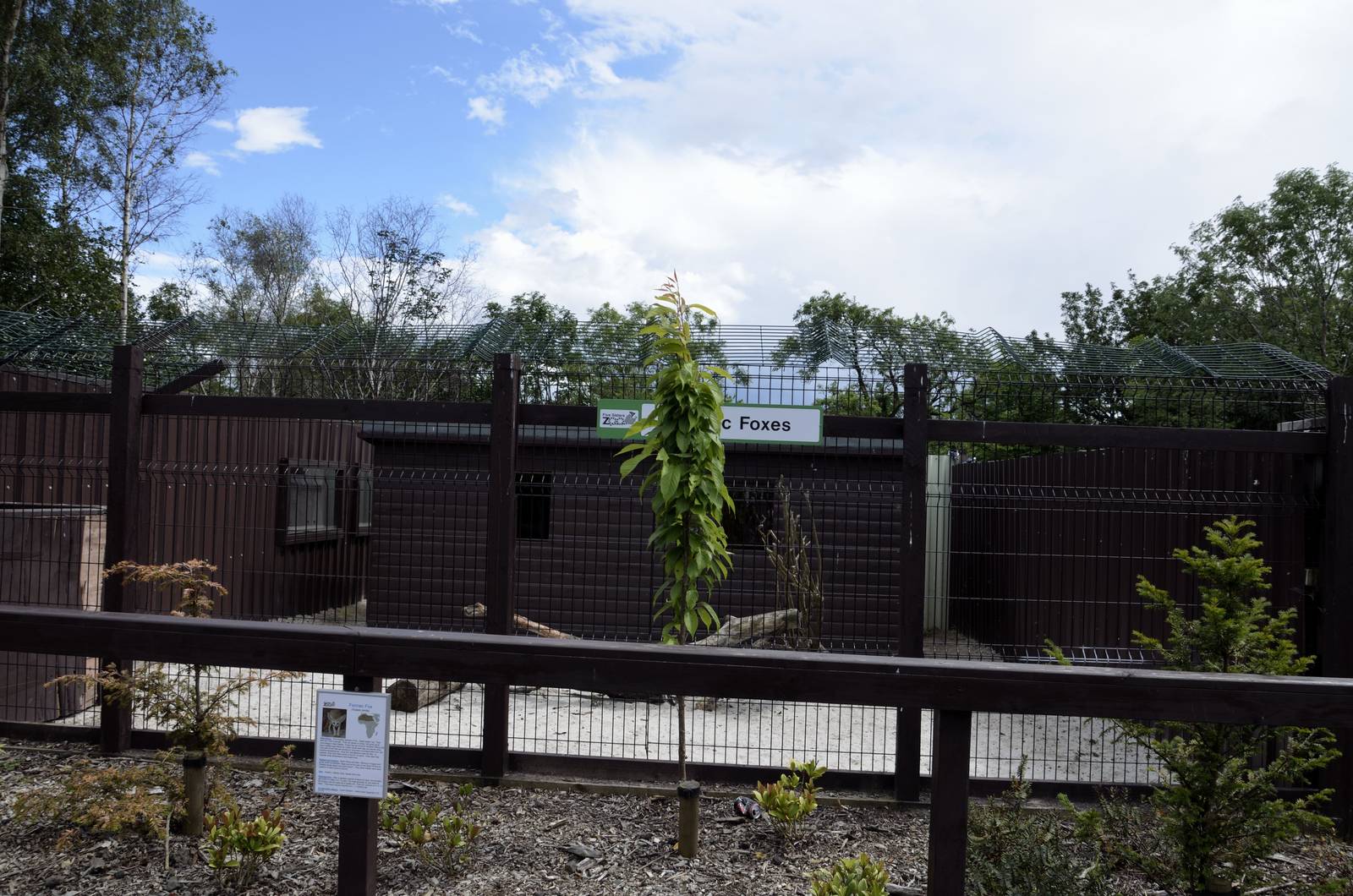 Fennec fox enclosure-06/07/2014