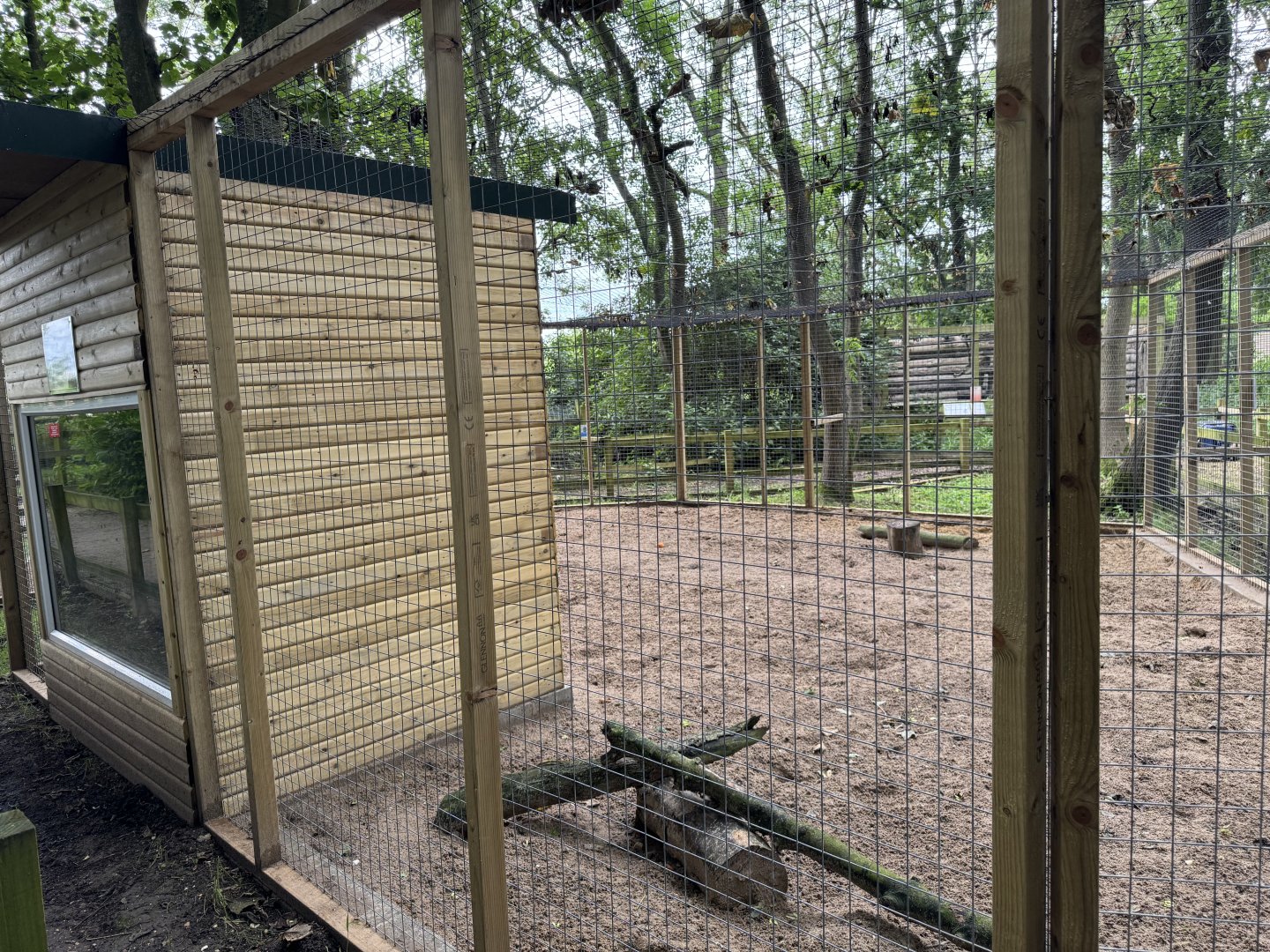 Fennec Fox Enclosure at Bridlington Animal Park (July 2024)