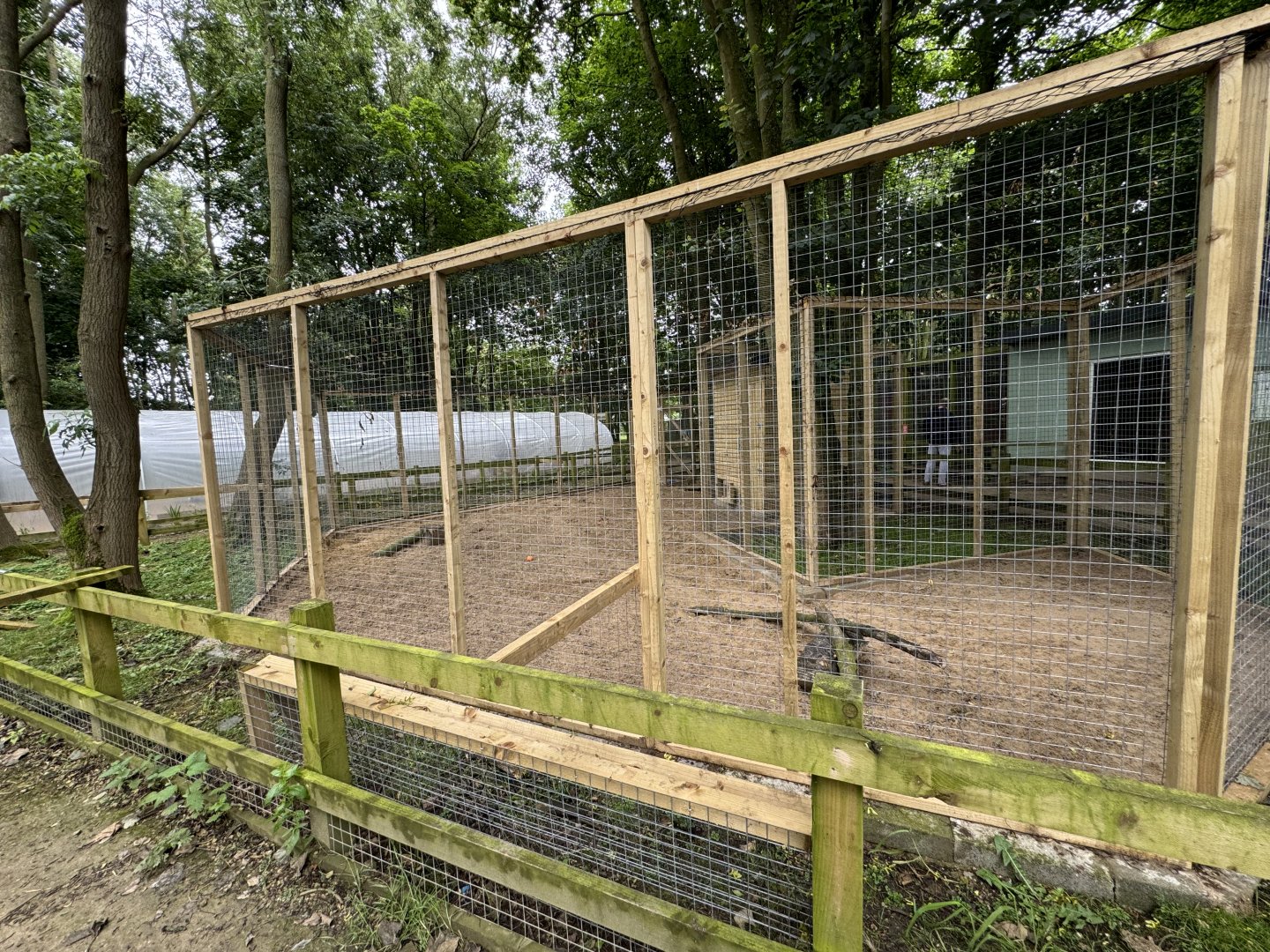 Fennec Fox Enclosure at Bridlington Animal Park (July 2024)