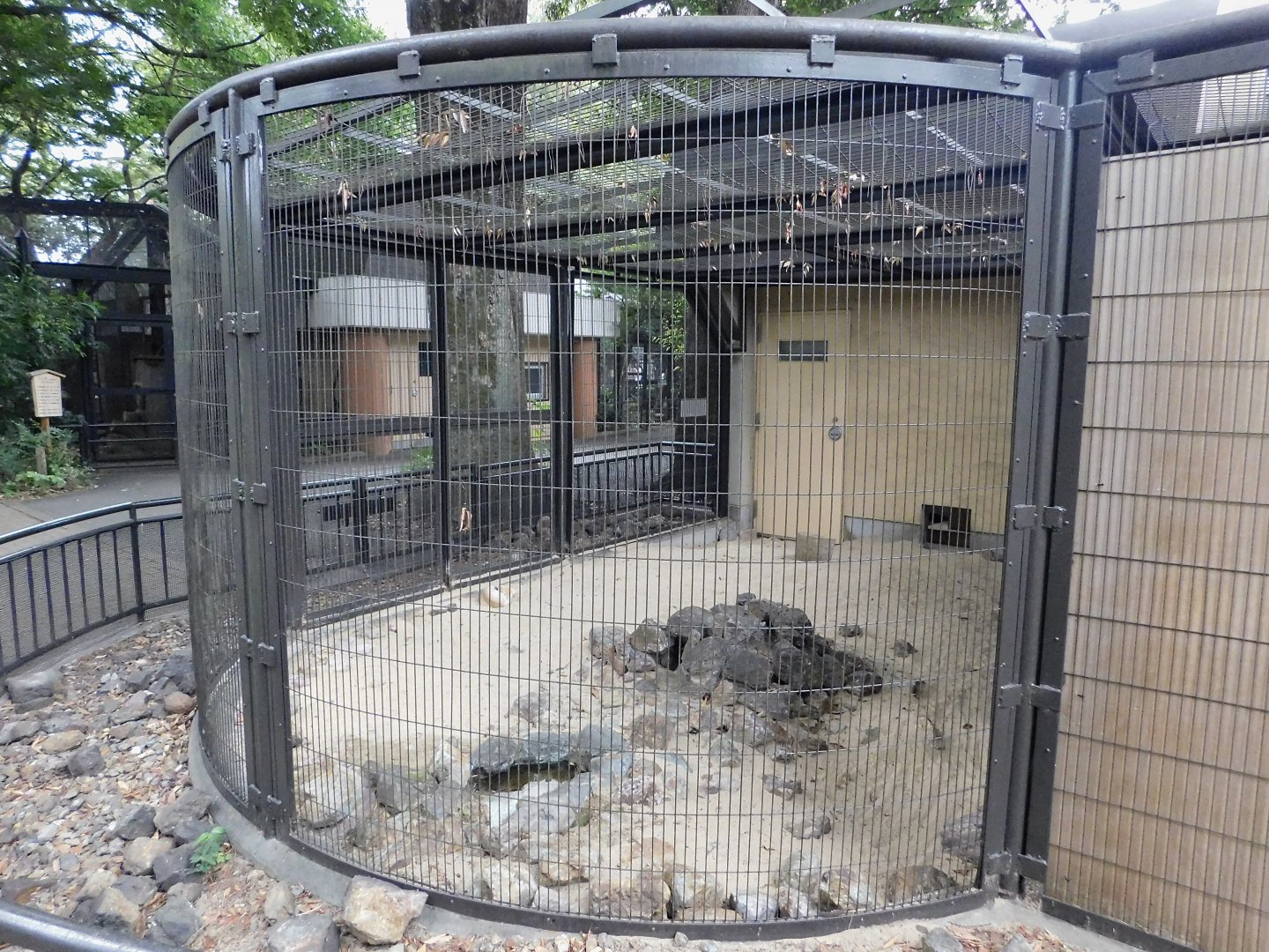 Fennec Fox Enclosure October 4, 2025