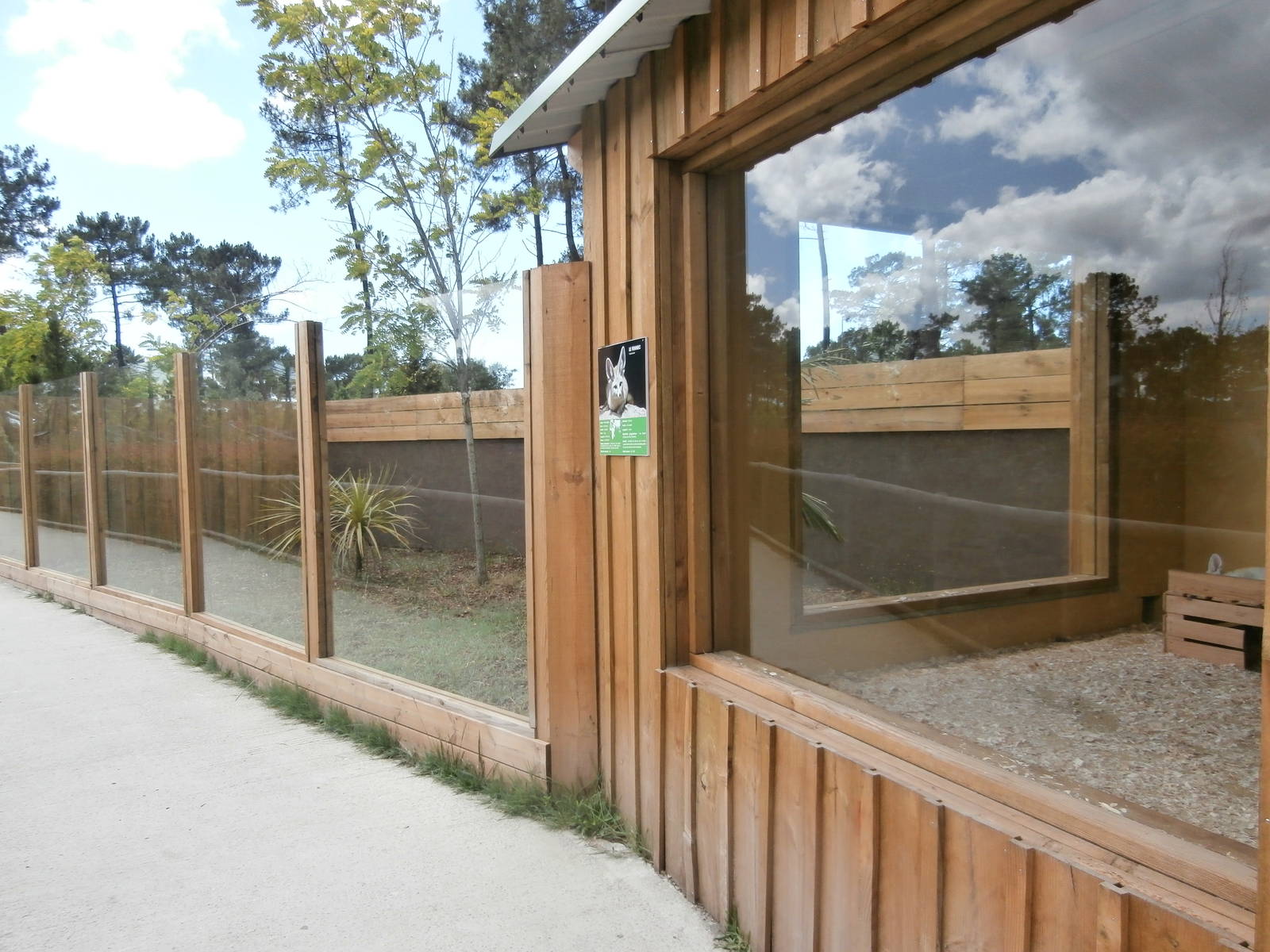 Fennec fox enclosure