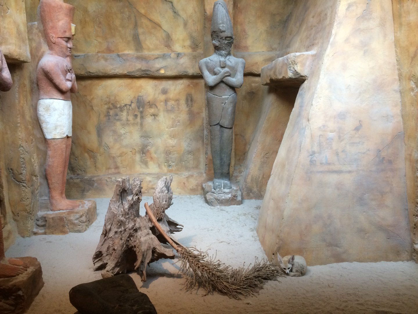 Fennec Fox Enclosure