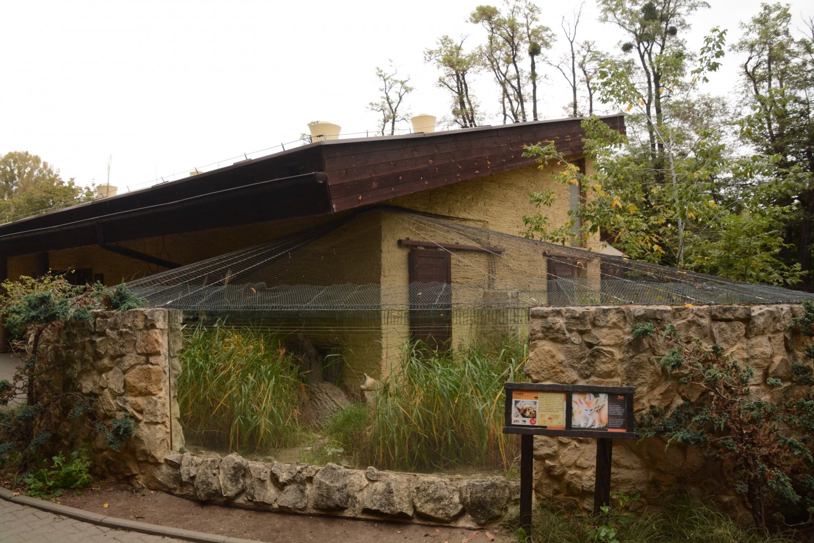 Fennec Fox enclosure