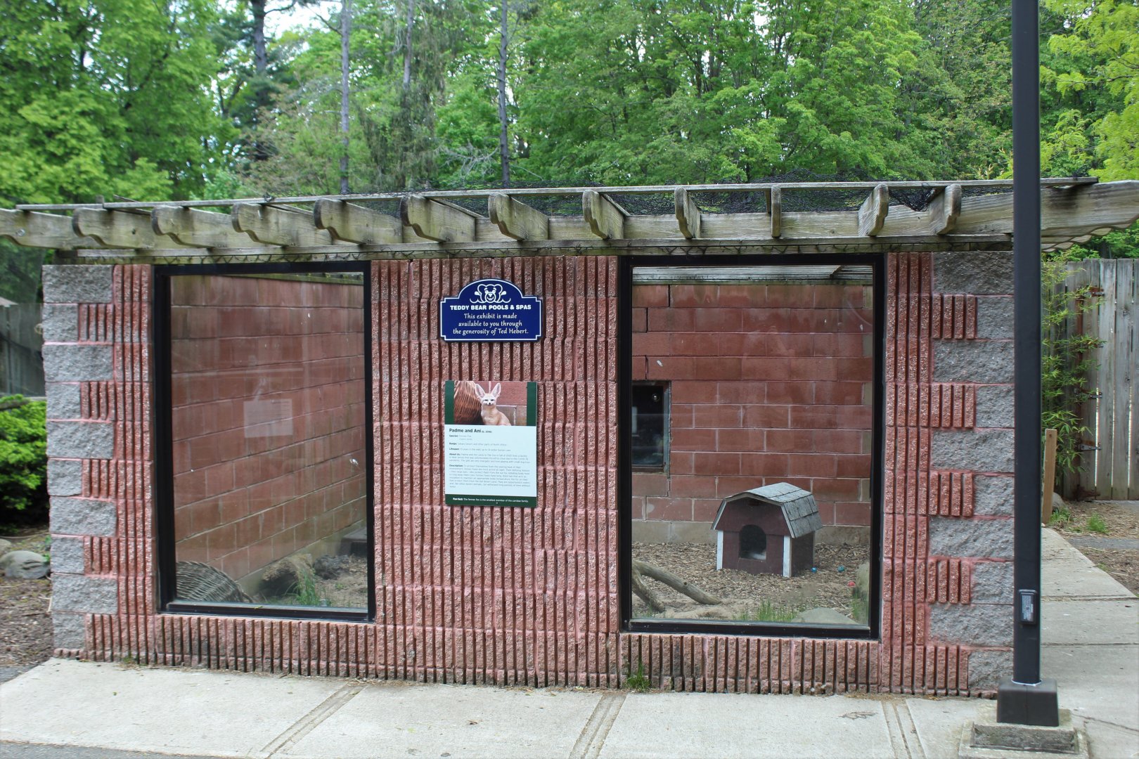 Fennec Fox Enclosure