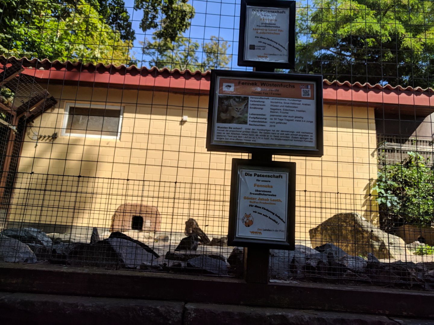 Fennec Fox Enclosure