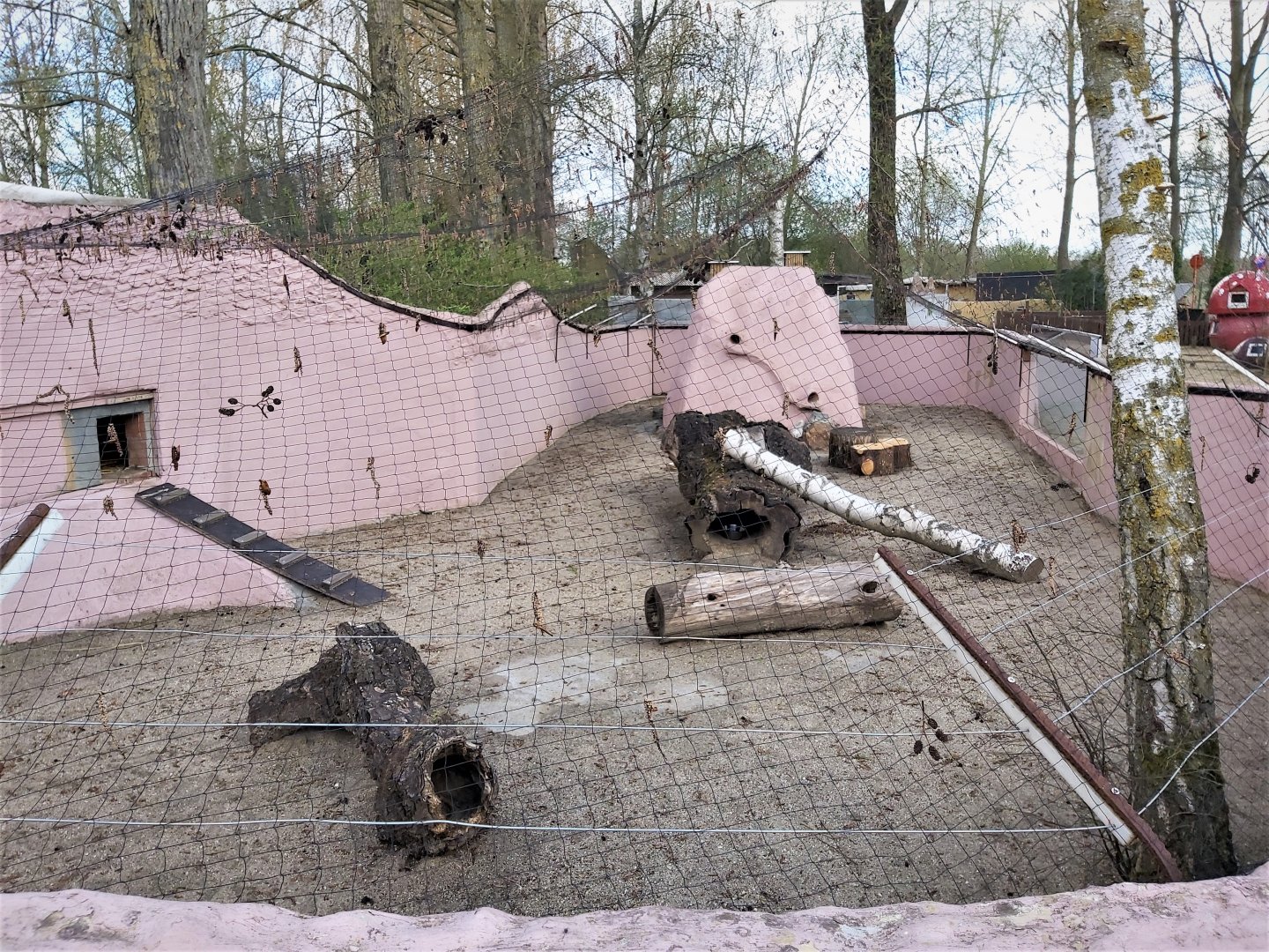 Fennec fox enclosure