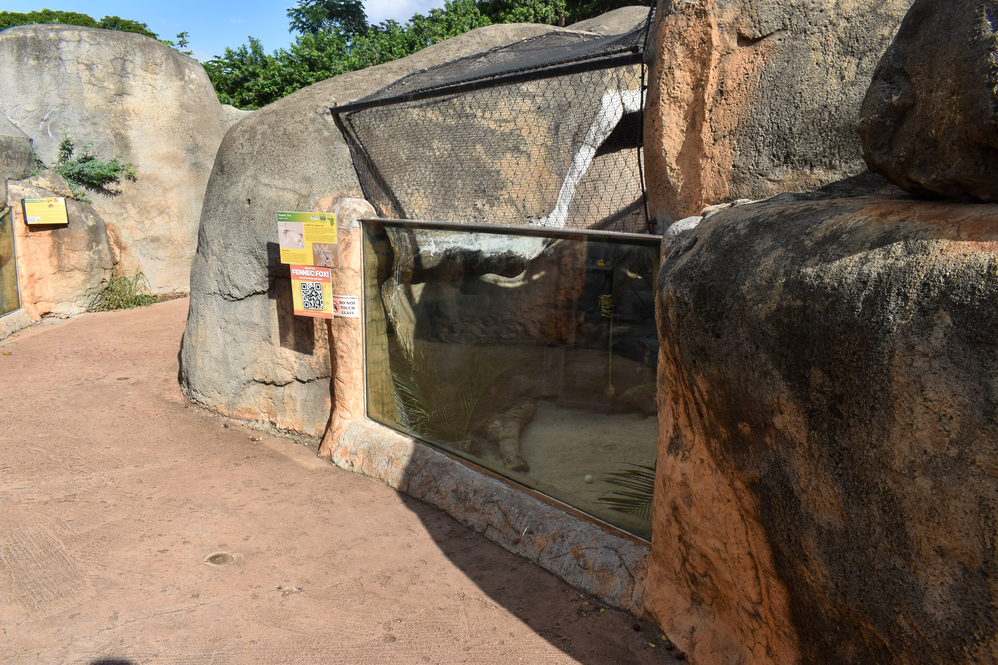 Fennec fox enclosure