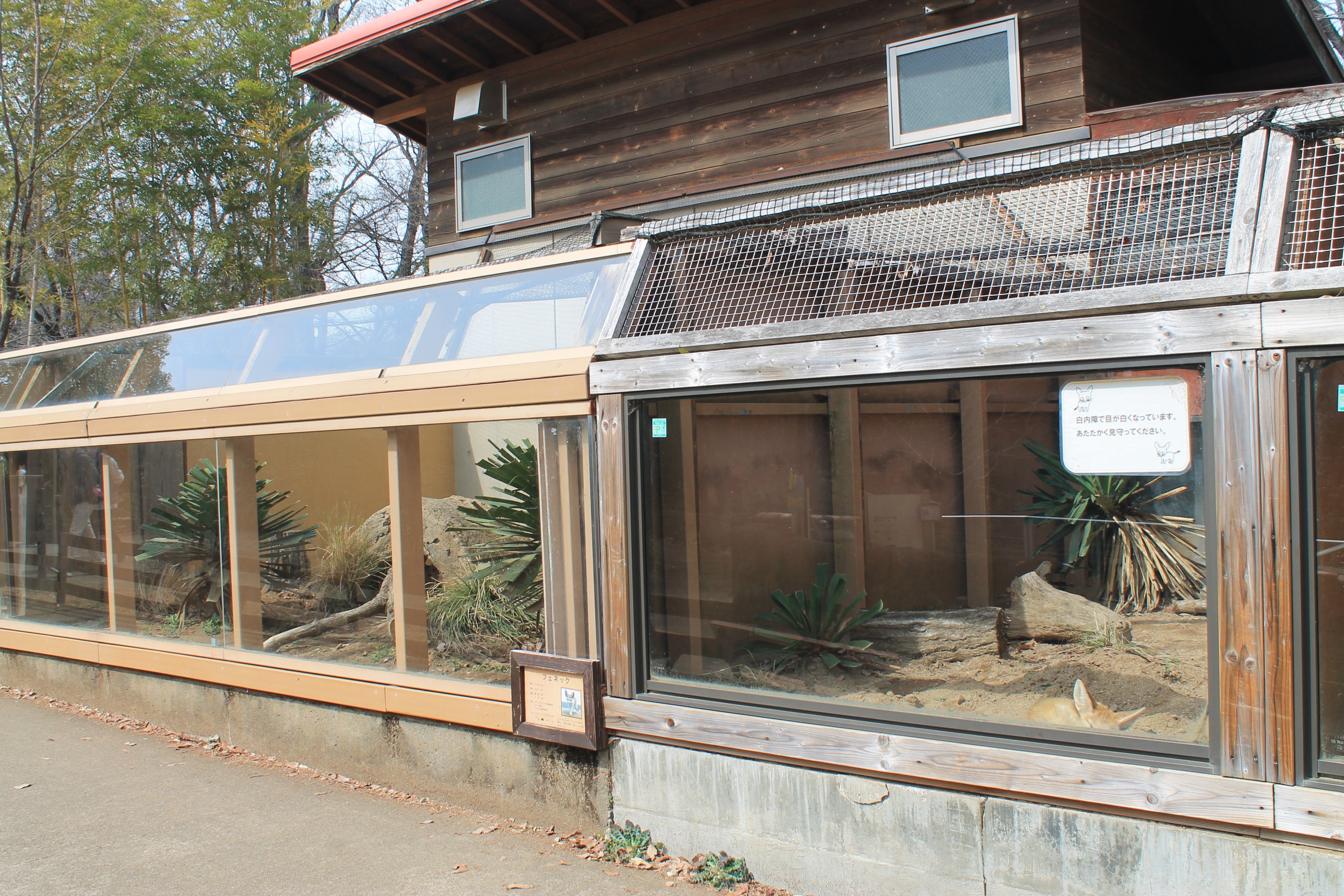 Fennec Fox enclosures - Saitama Childrens Zoo
