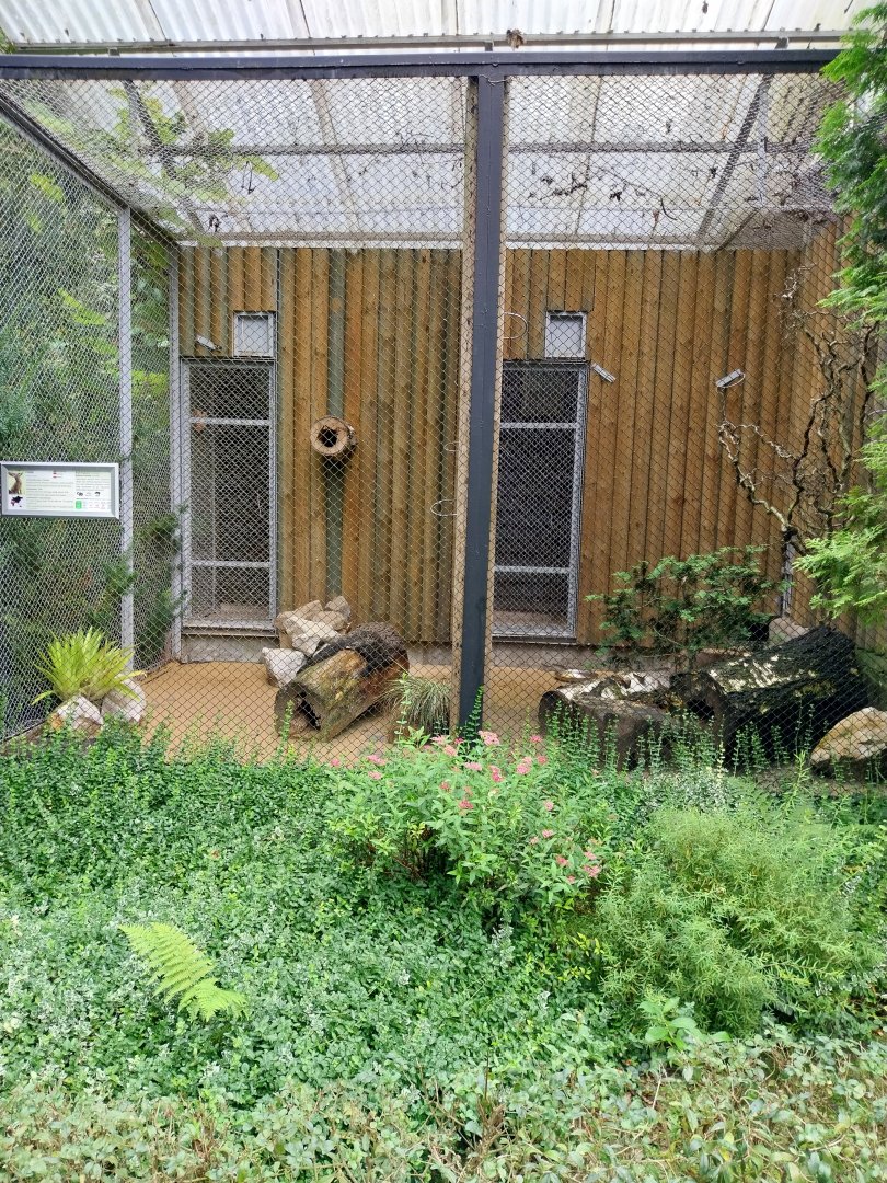 Fennec Fox enclosures