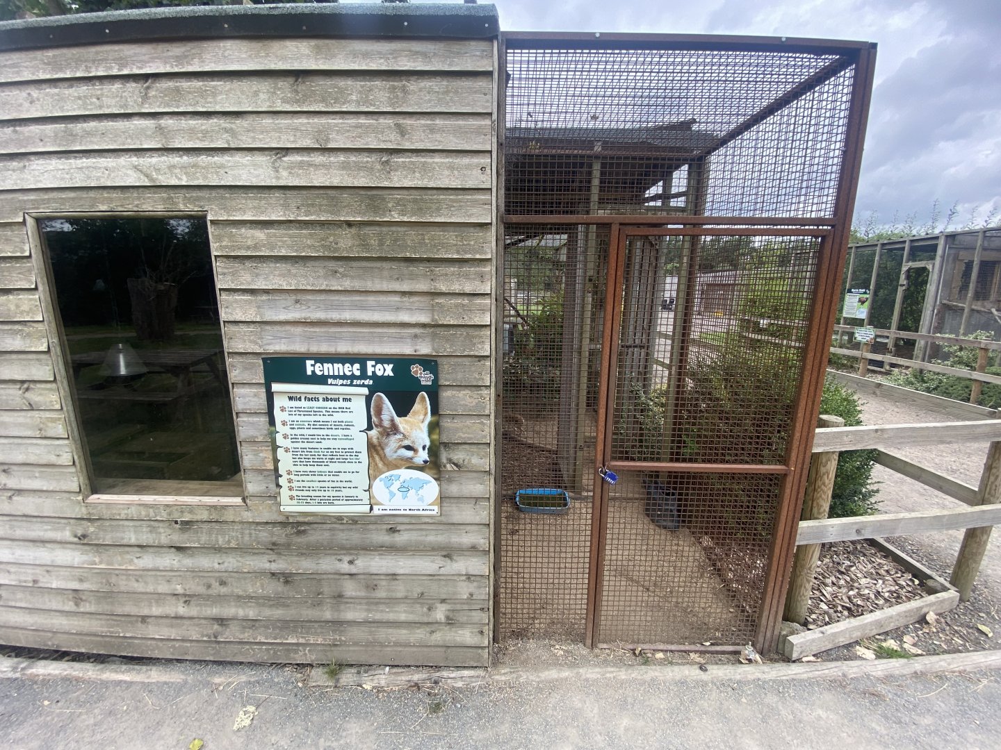 Fennec fox exhibit 040824