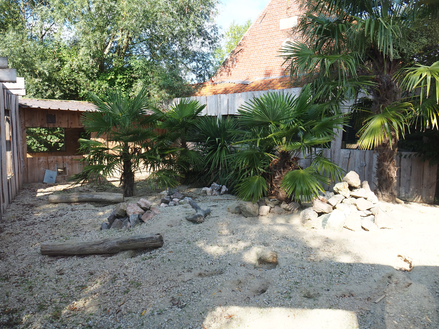 Fennec fox exhibit, 2020-09-12