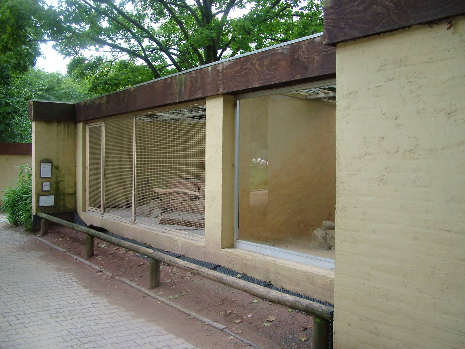 Fennec Fox Exhibit at Darmstadt, 30/08/10