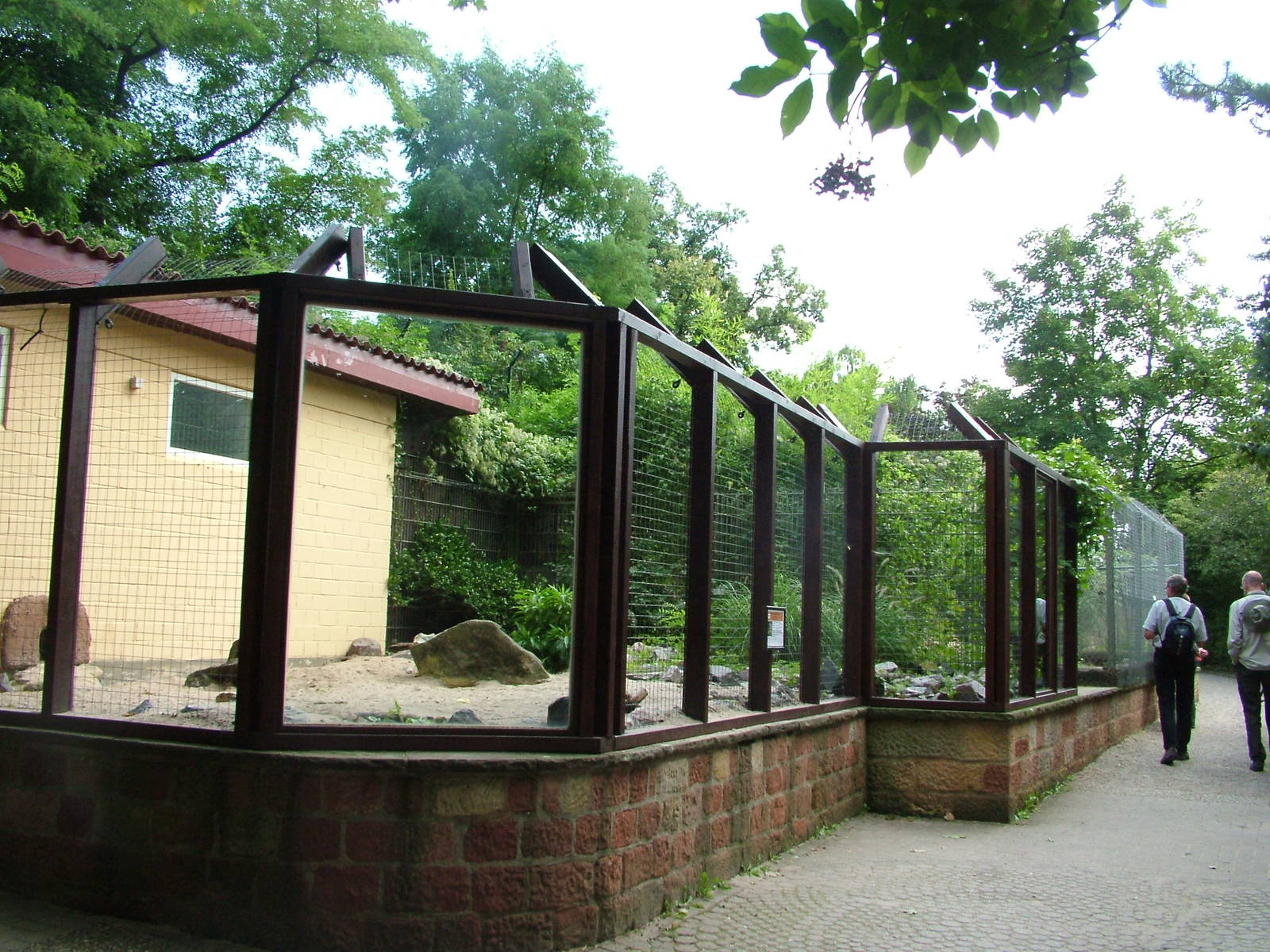 Fennec Fox Exhibit at Landau Zoo, 04/09/10