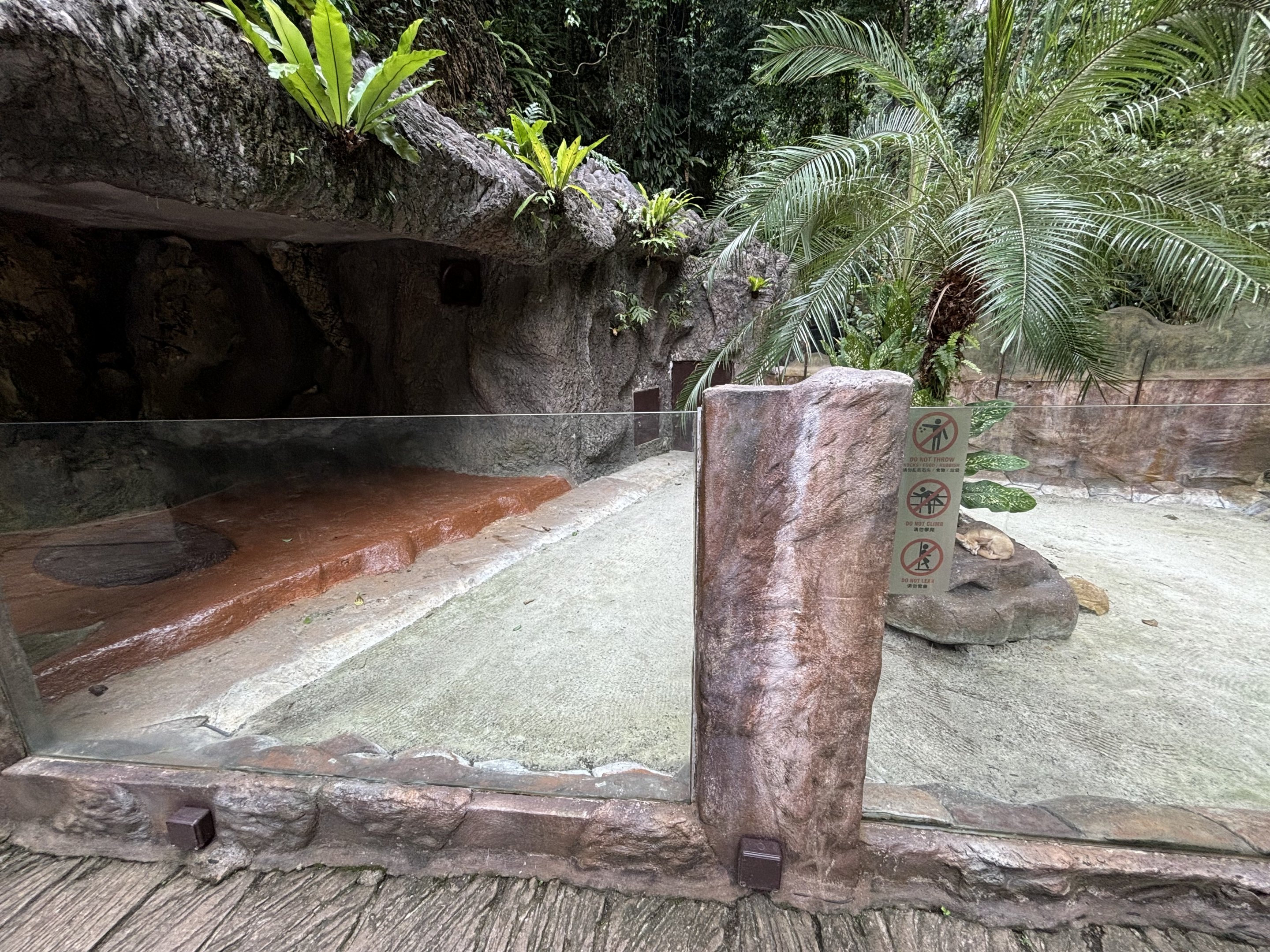 Fennec Fox Exhibit - Lost World of Tambun