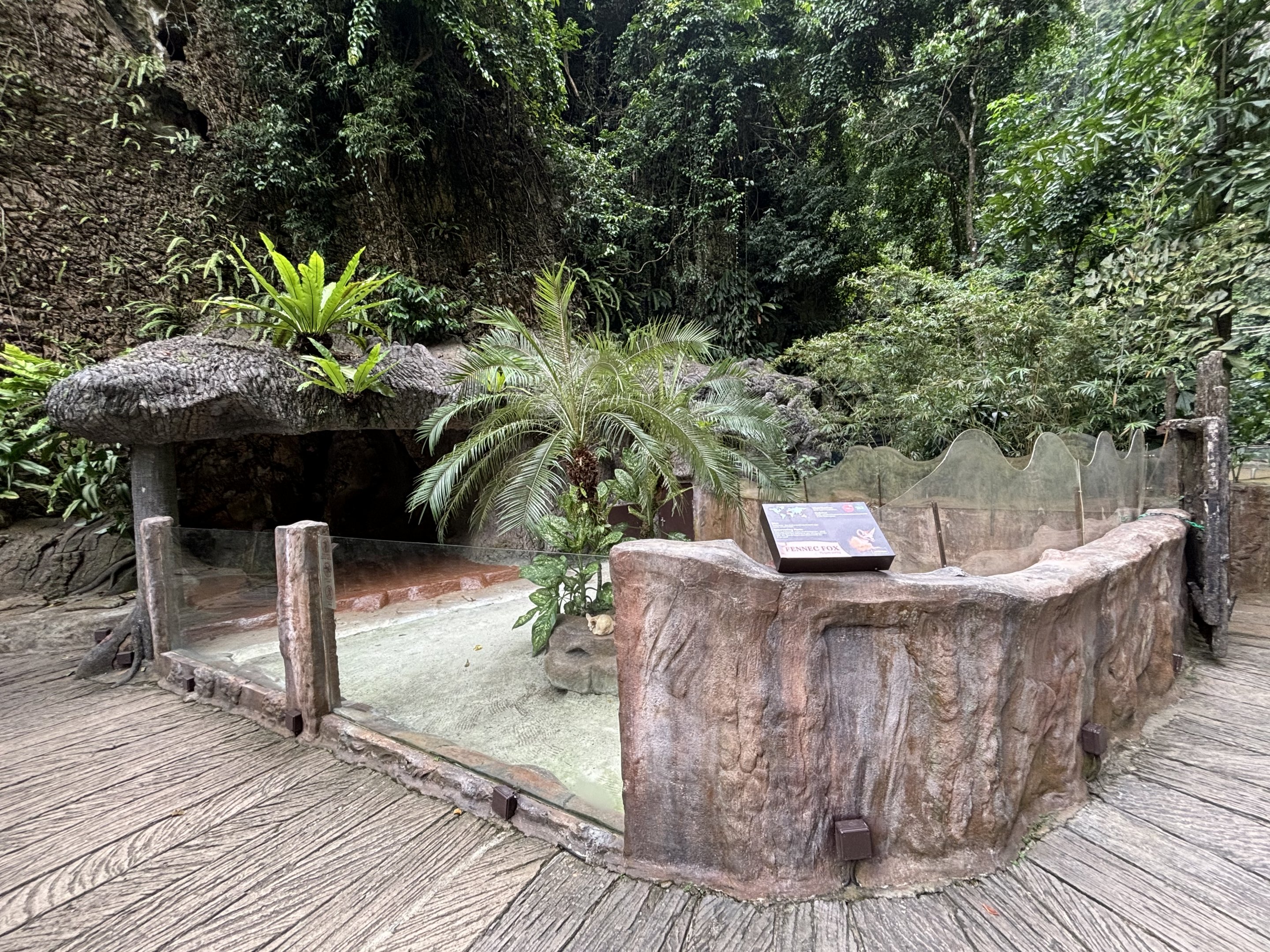 Fennec Fox Exhibit - Lost World of Tambun