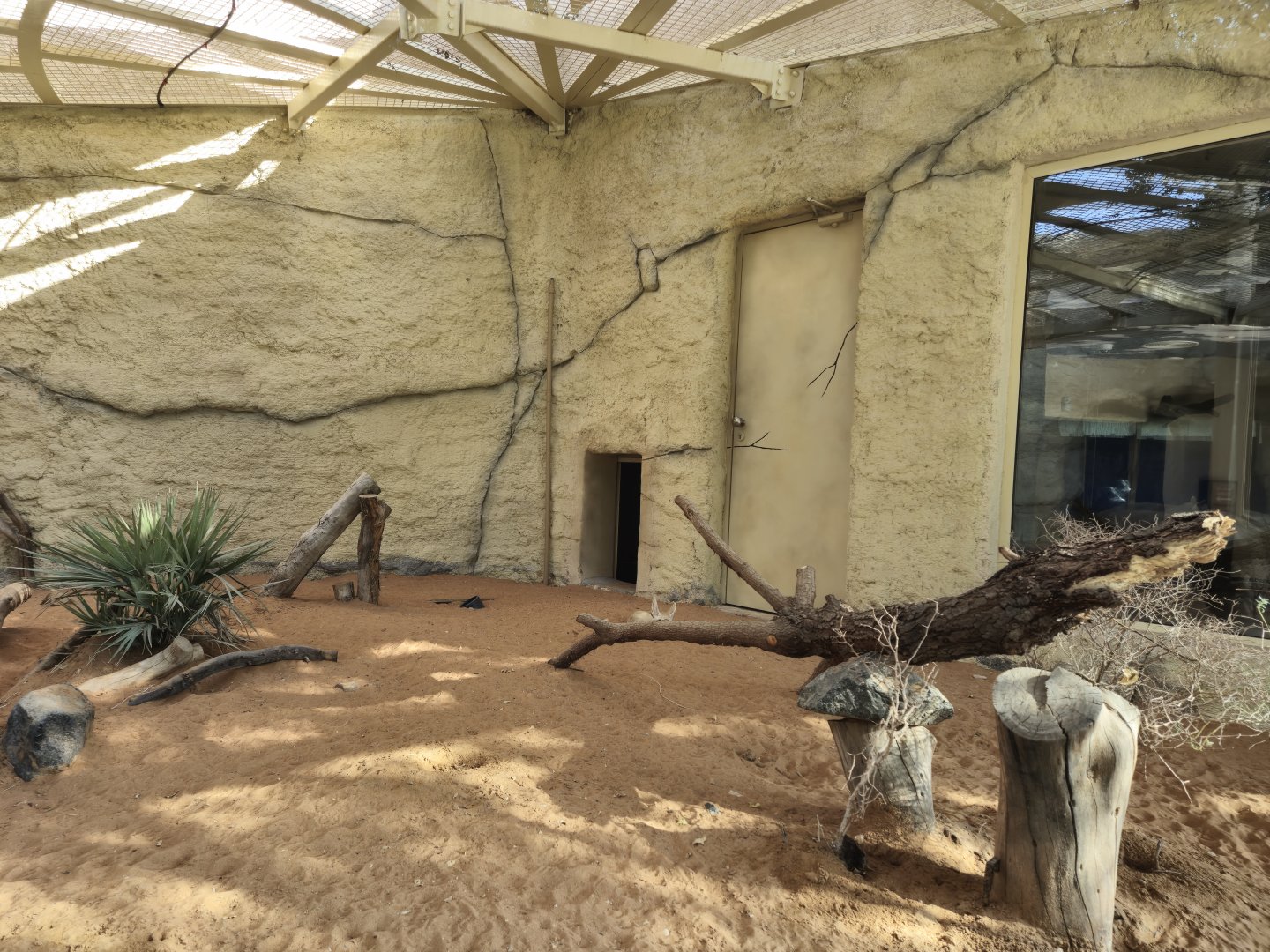 Fennec Fox exhibit,  Sand Cat Center