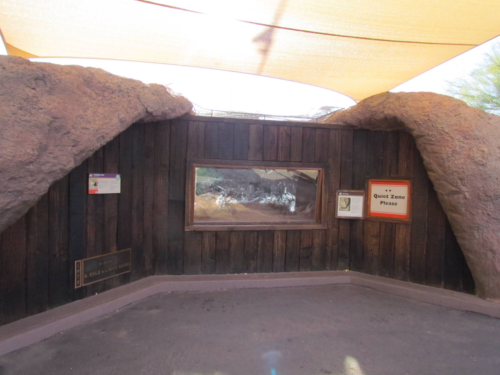 Fennec Fox Exhibit